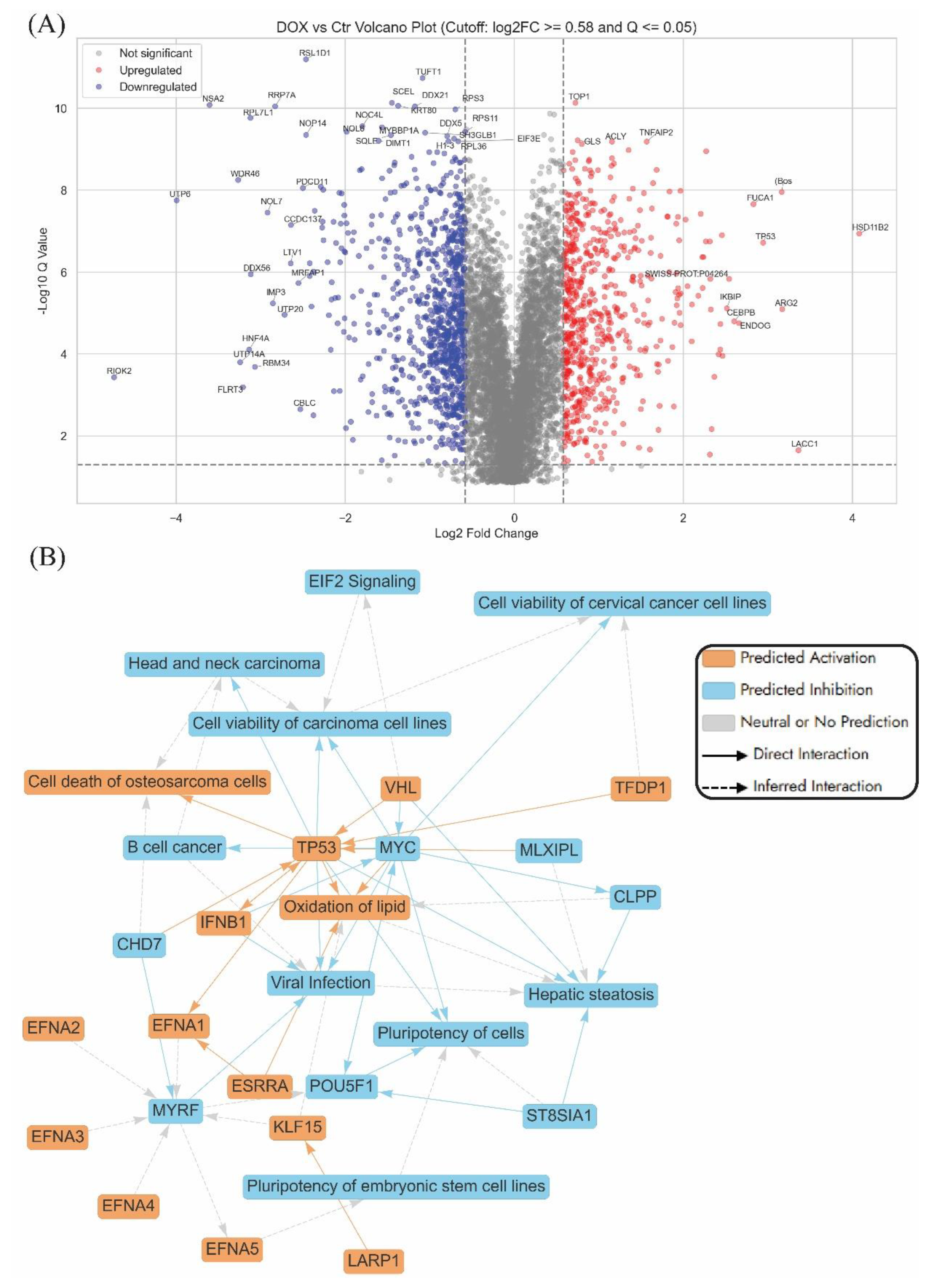 Preprints 188447 g002