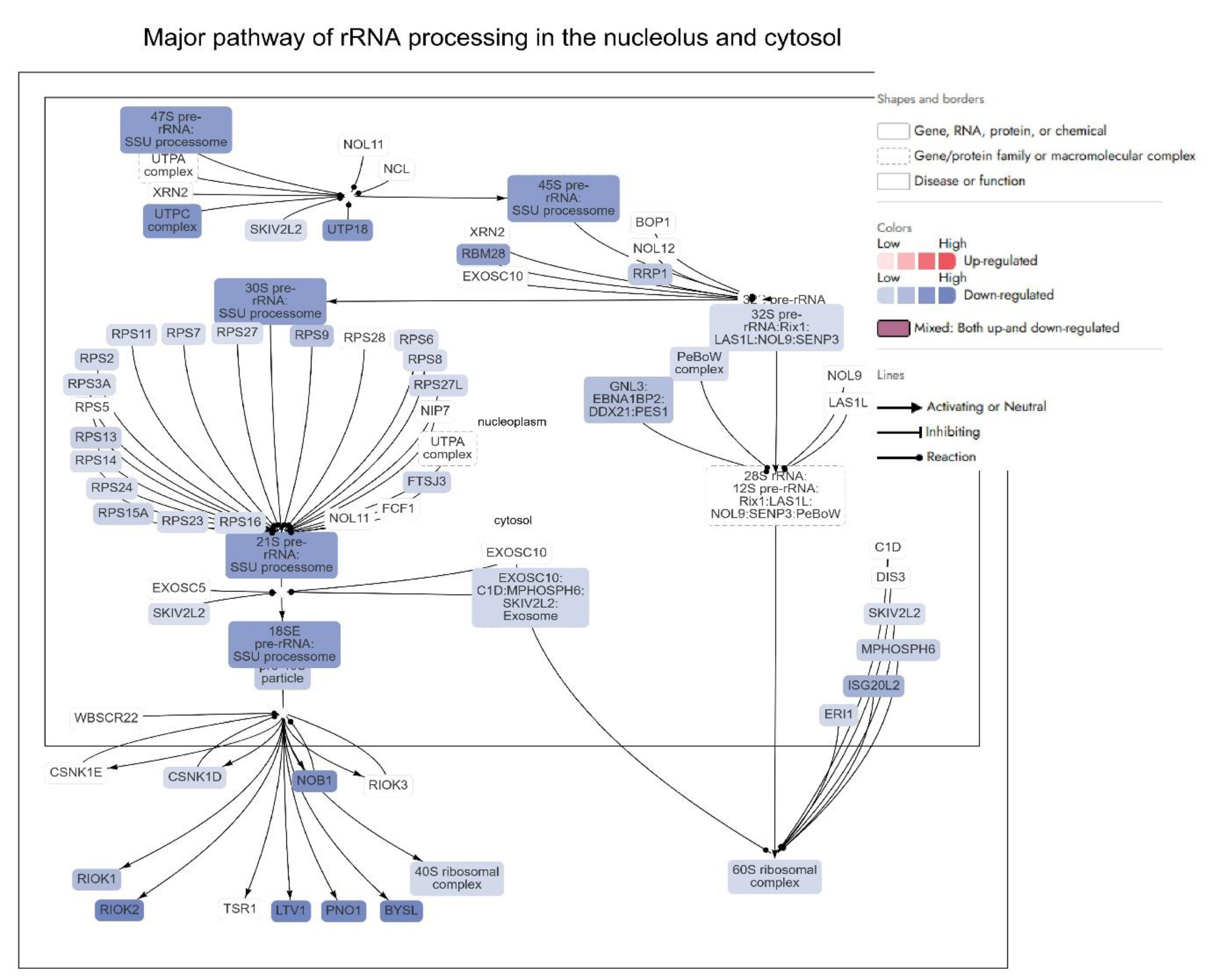 Preprints 188447 g003