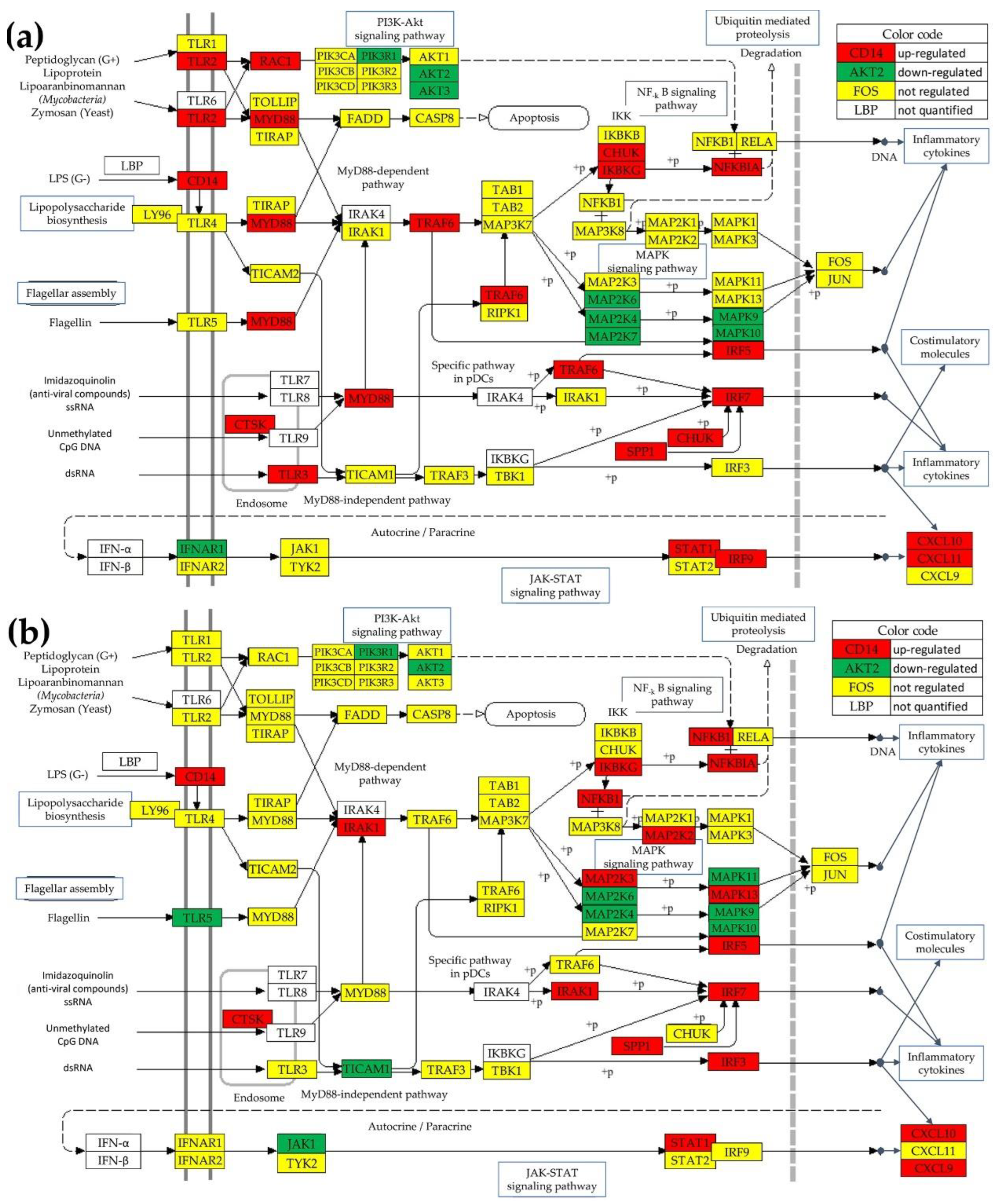 Preprints 140502 g001a