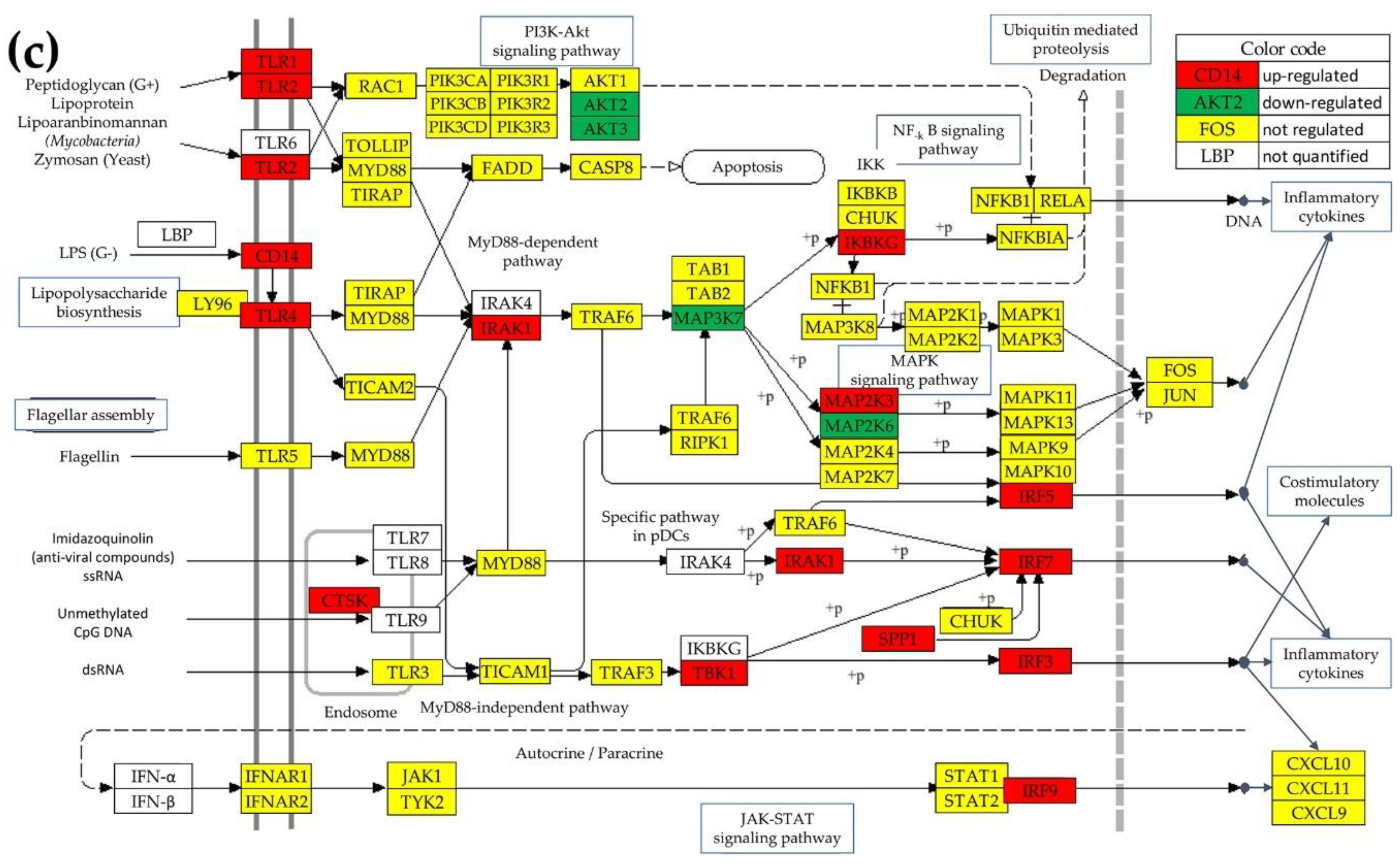 Preprints 140502 g001b