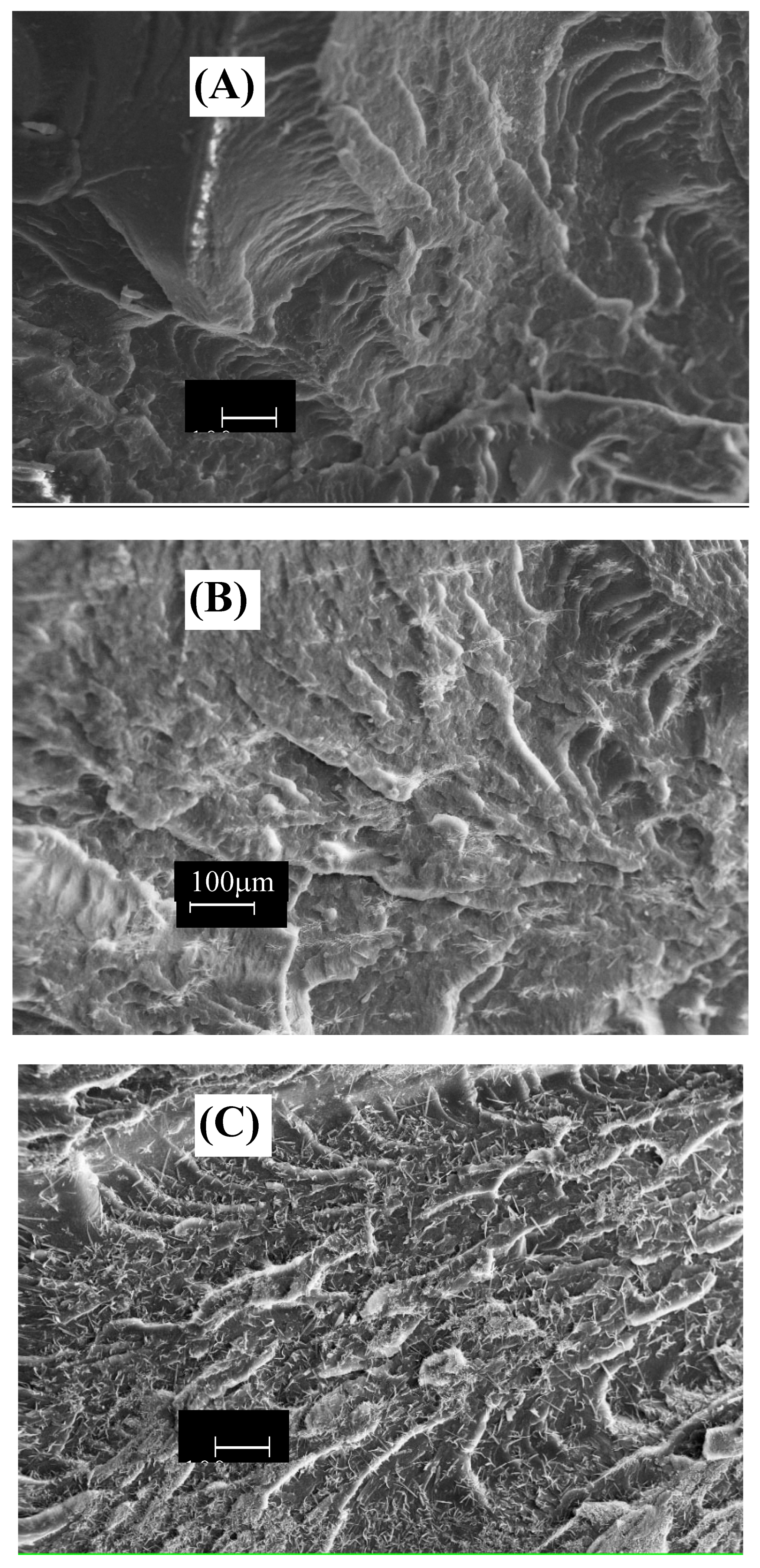 Preprints 165634 g013
