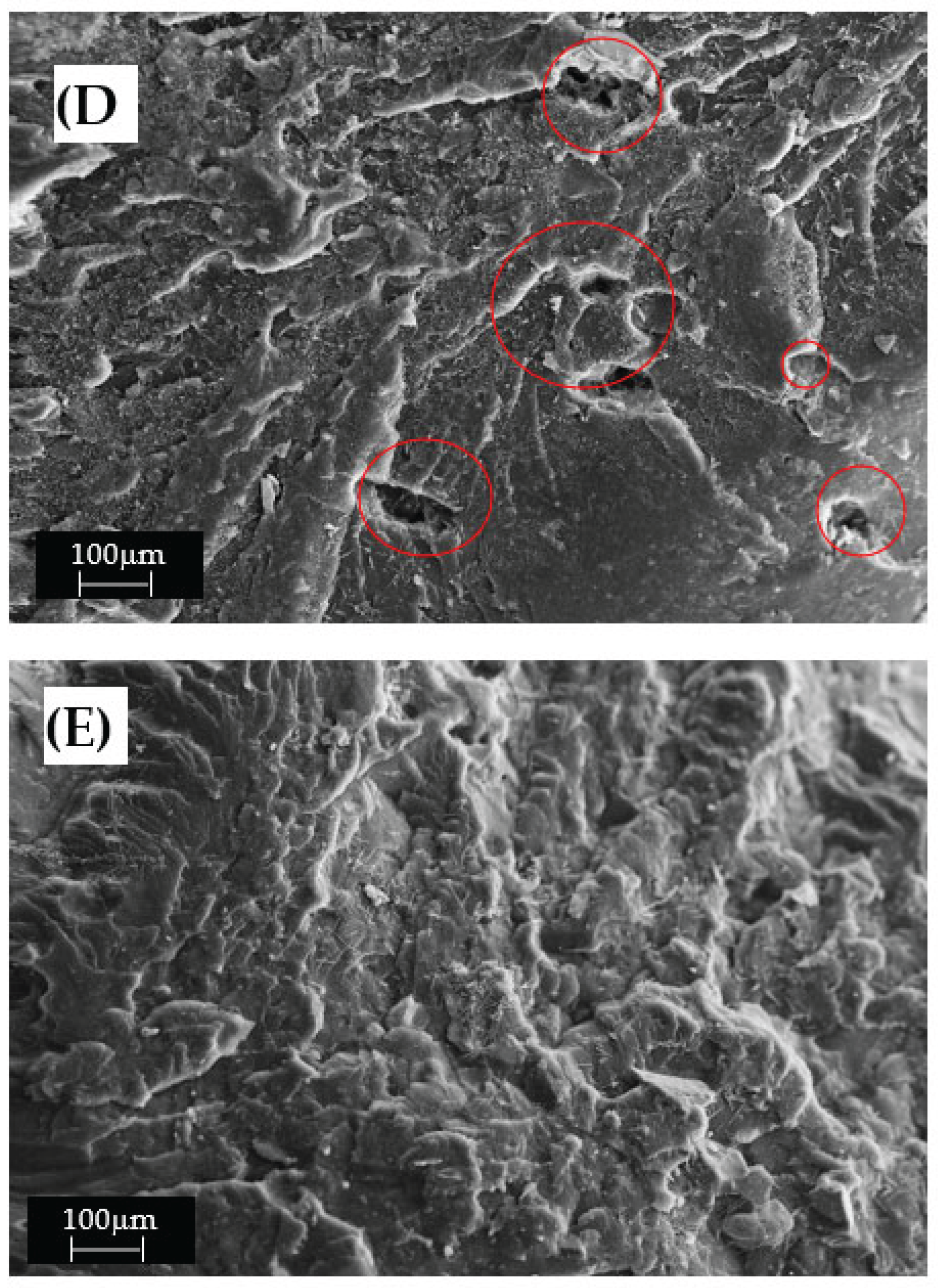 Preprints 165634 g014a
