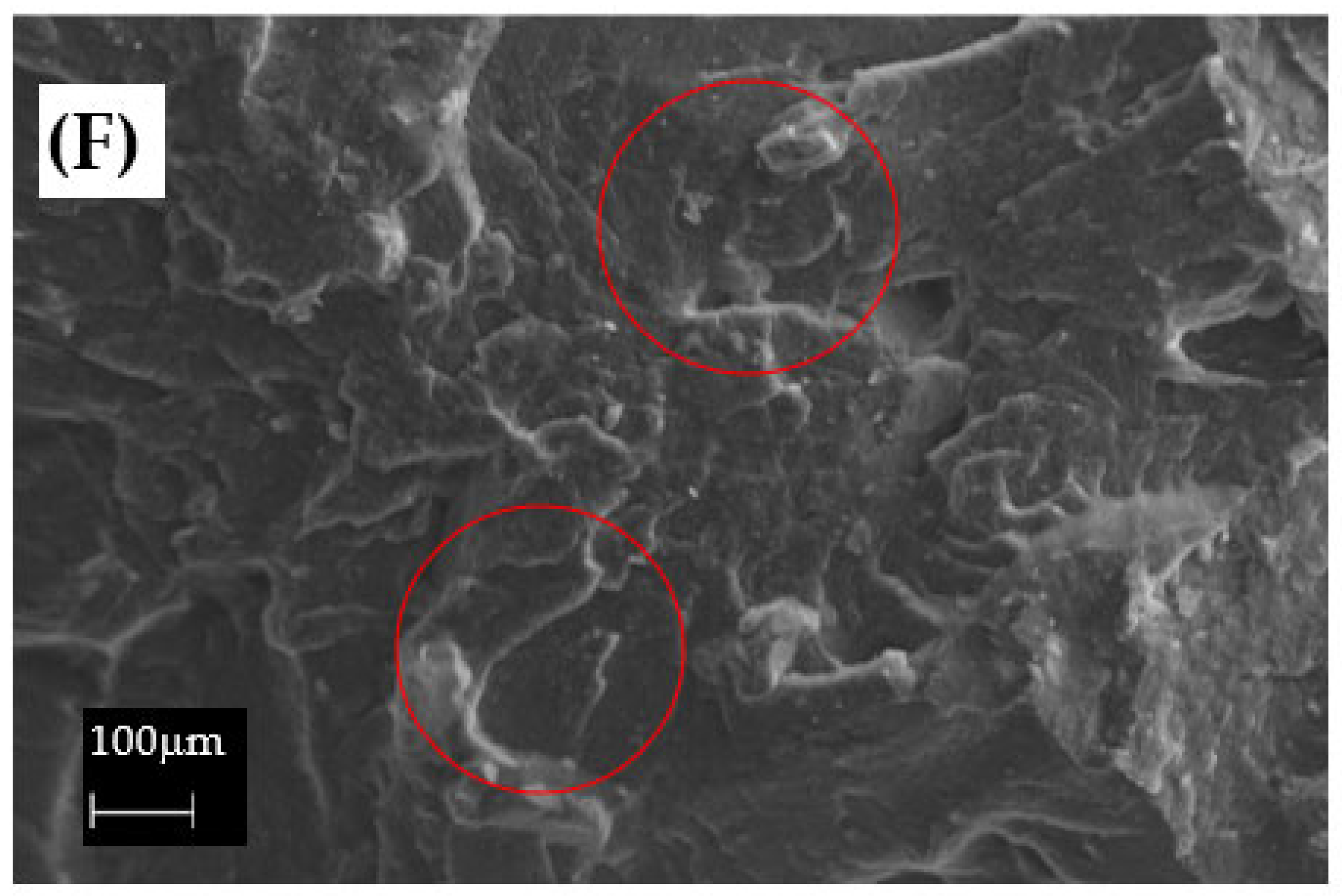 Preprints 165634 g014b