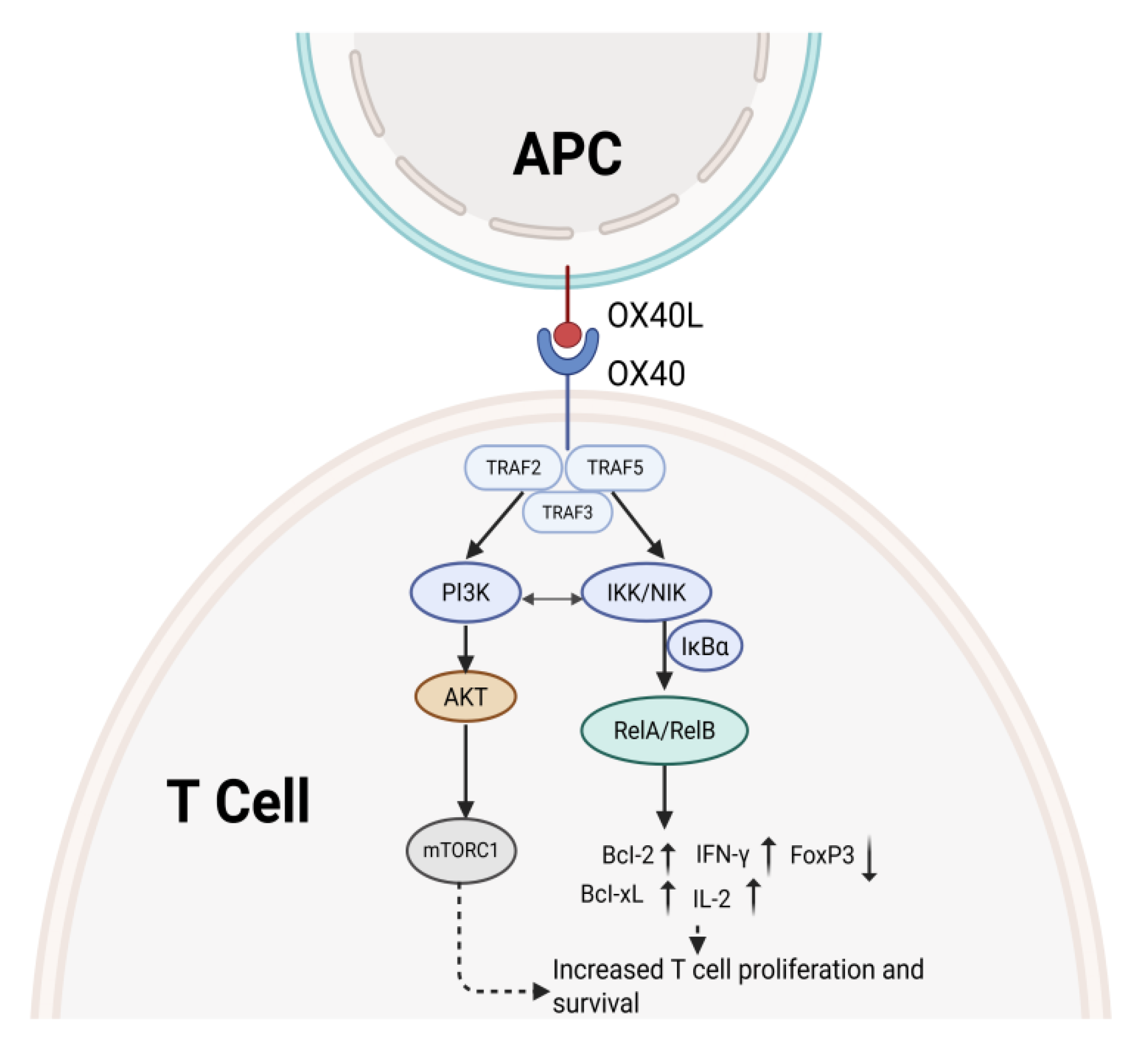Preprints 177647 g001