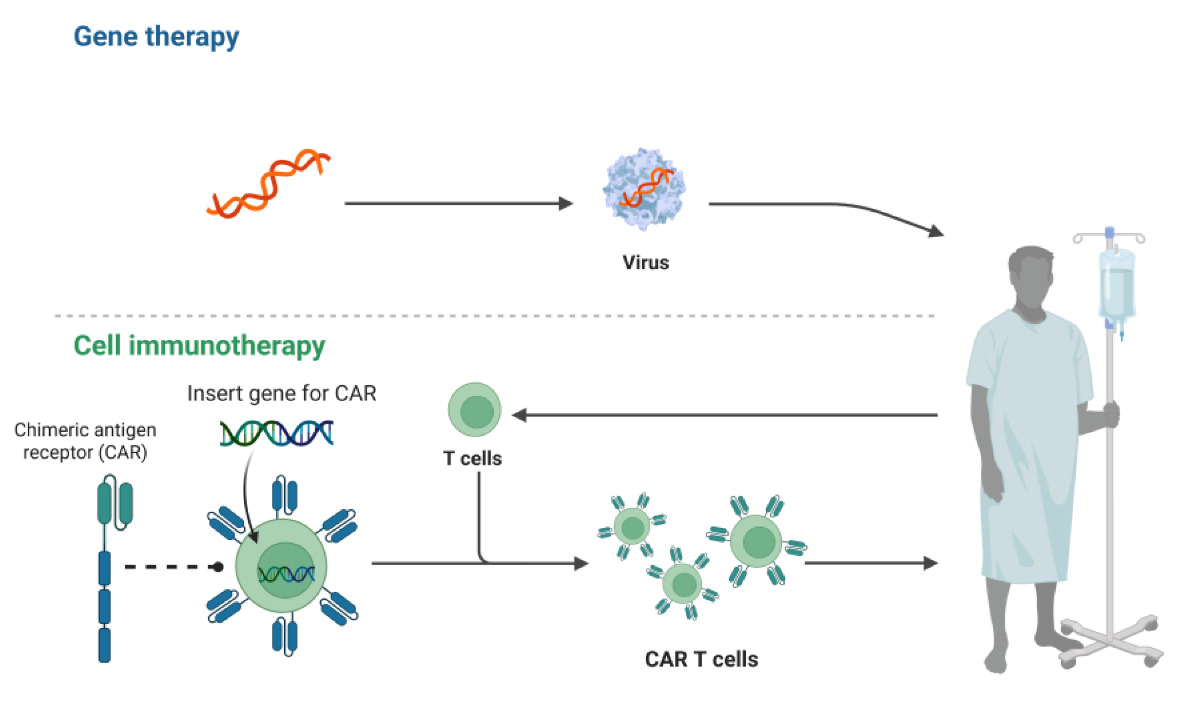 Preprints 177647 g002