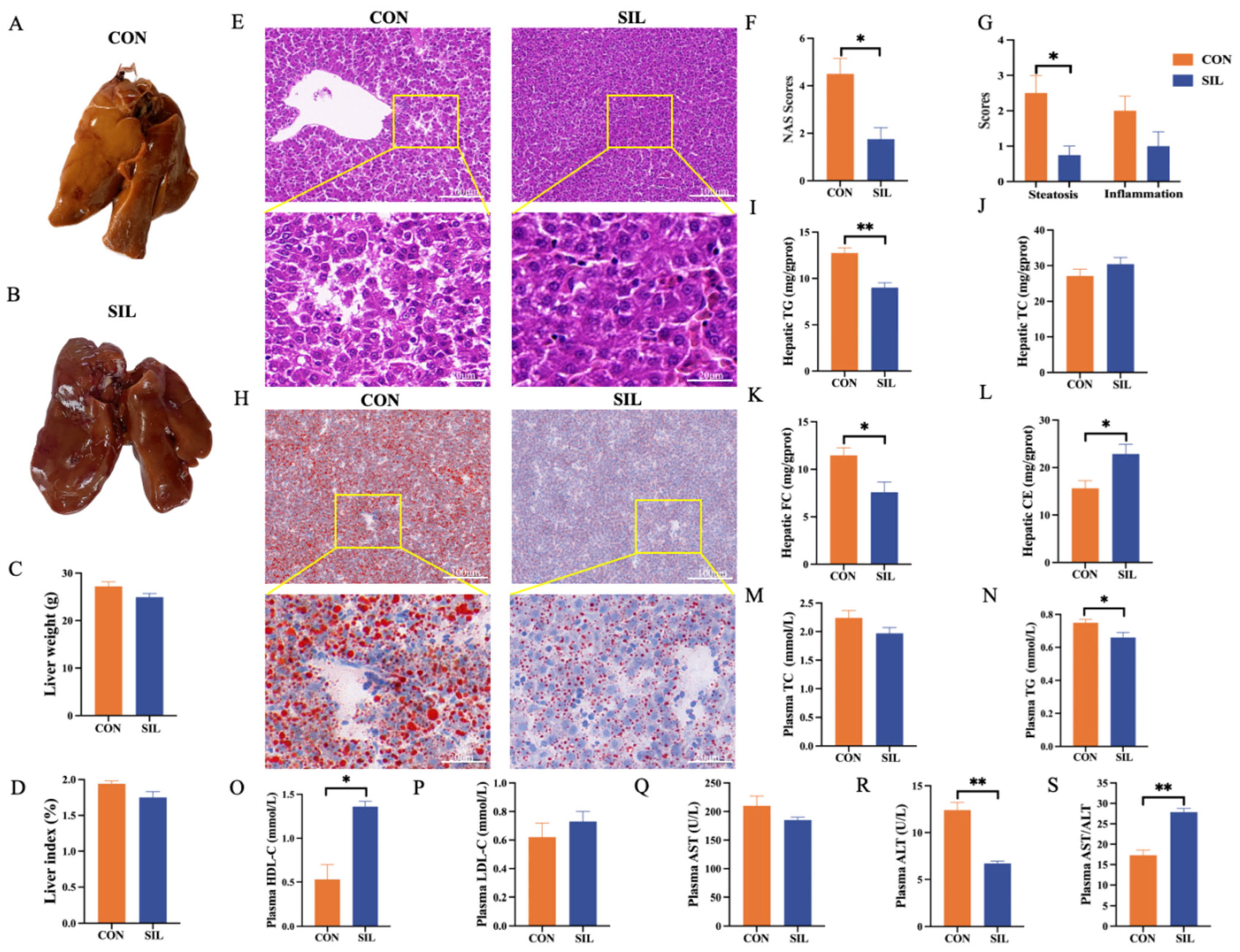 Preprints 200490 g002