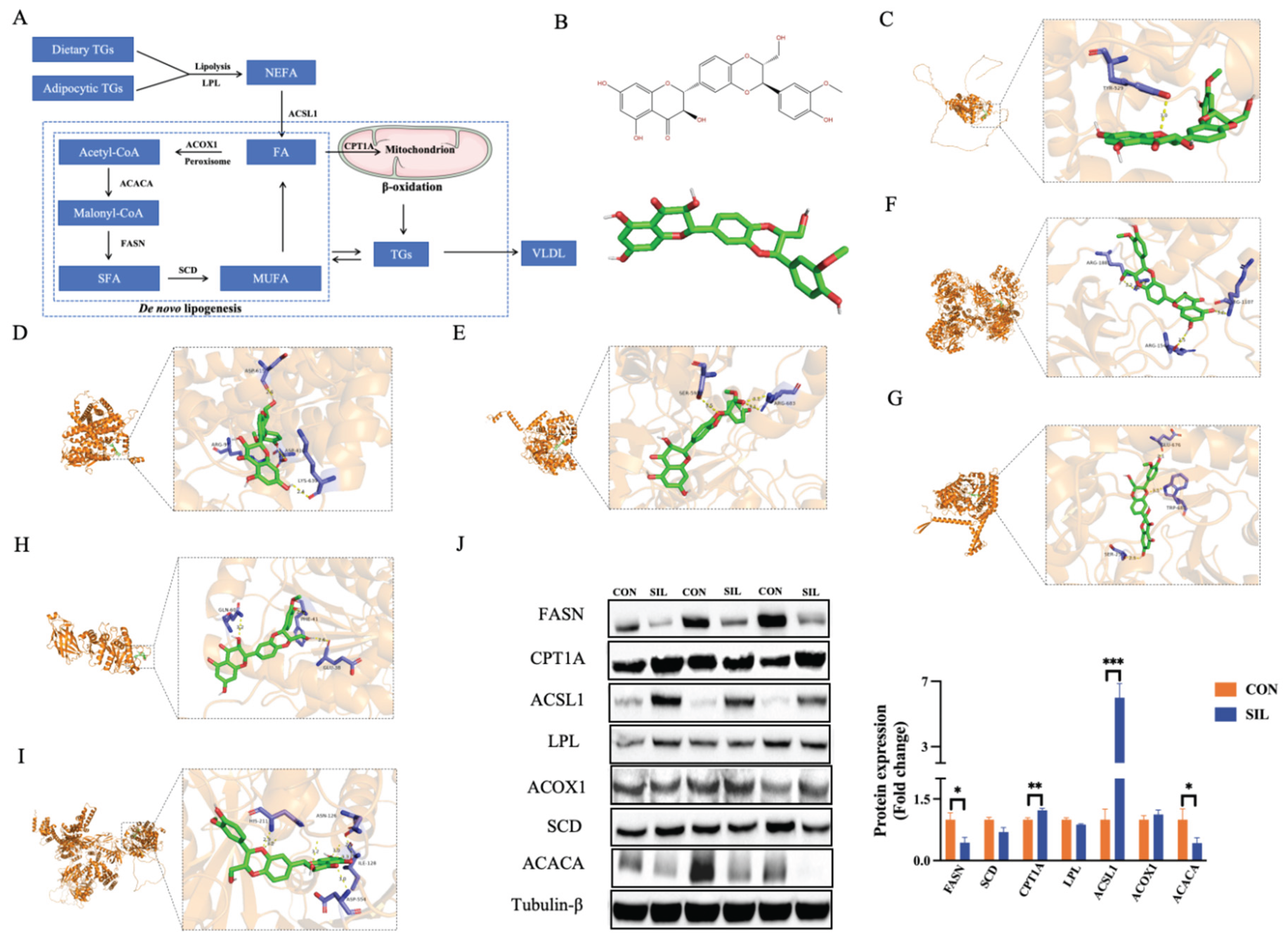 Preprints 200490 g006