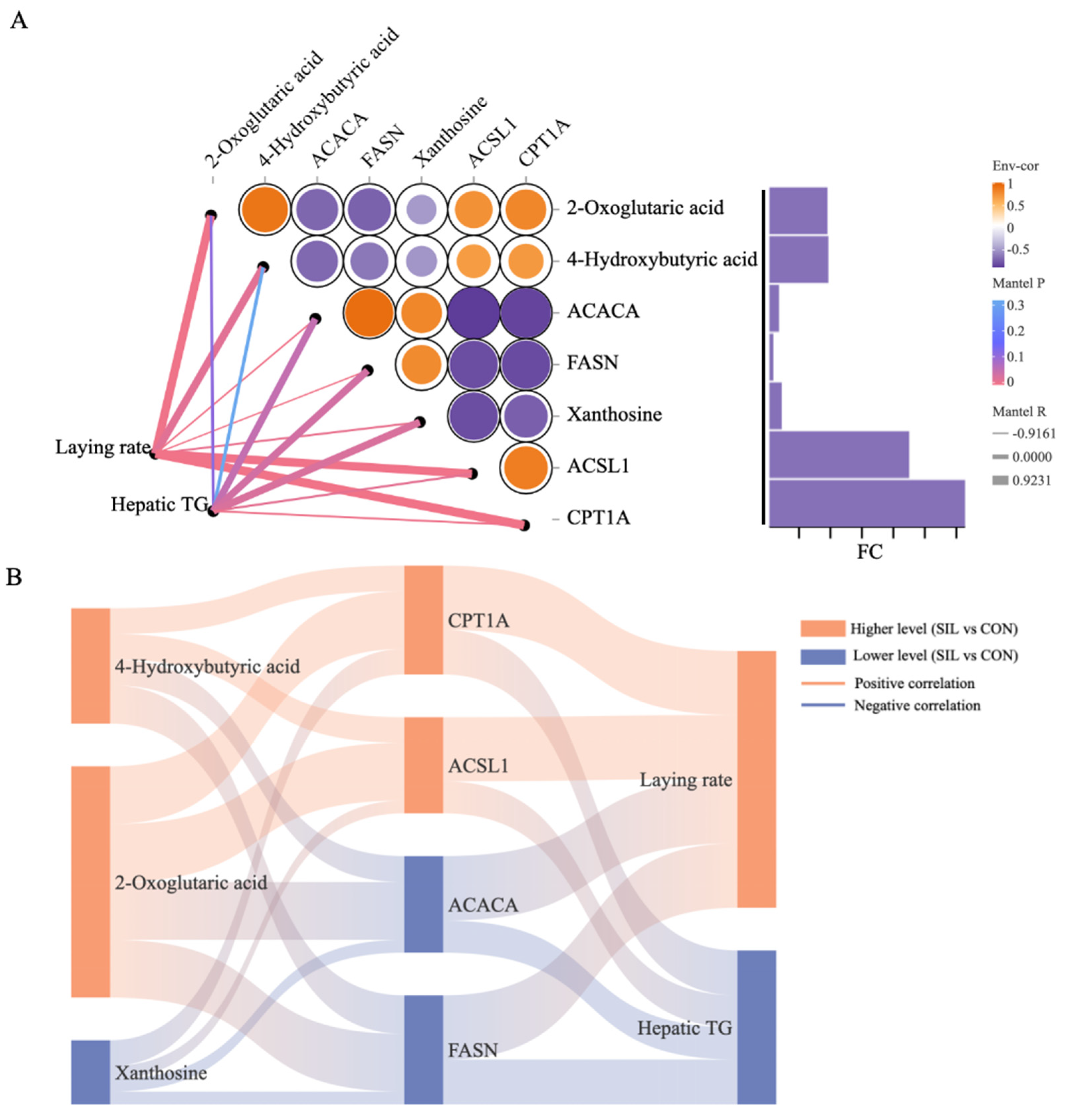 Preprints 200490 g008