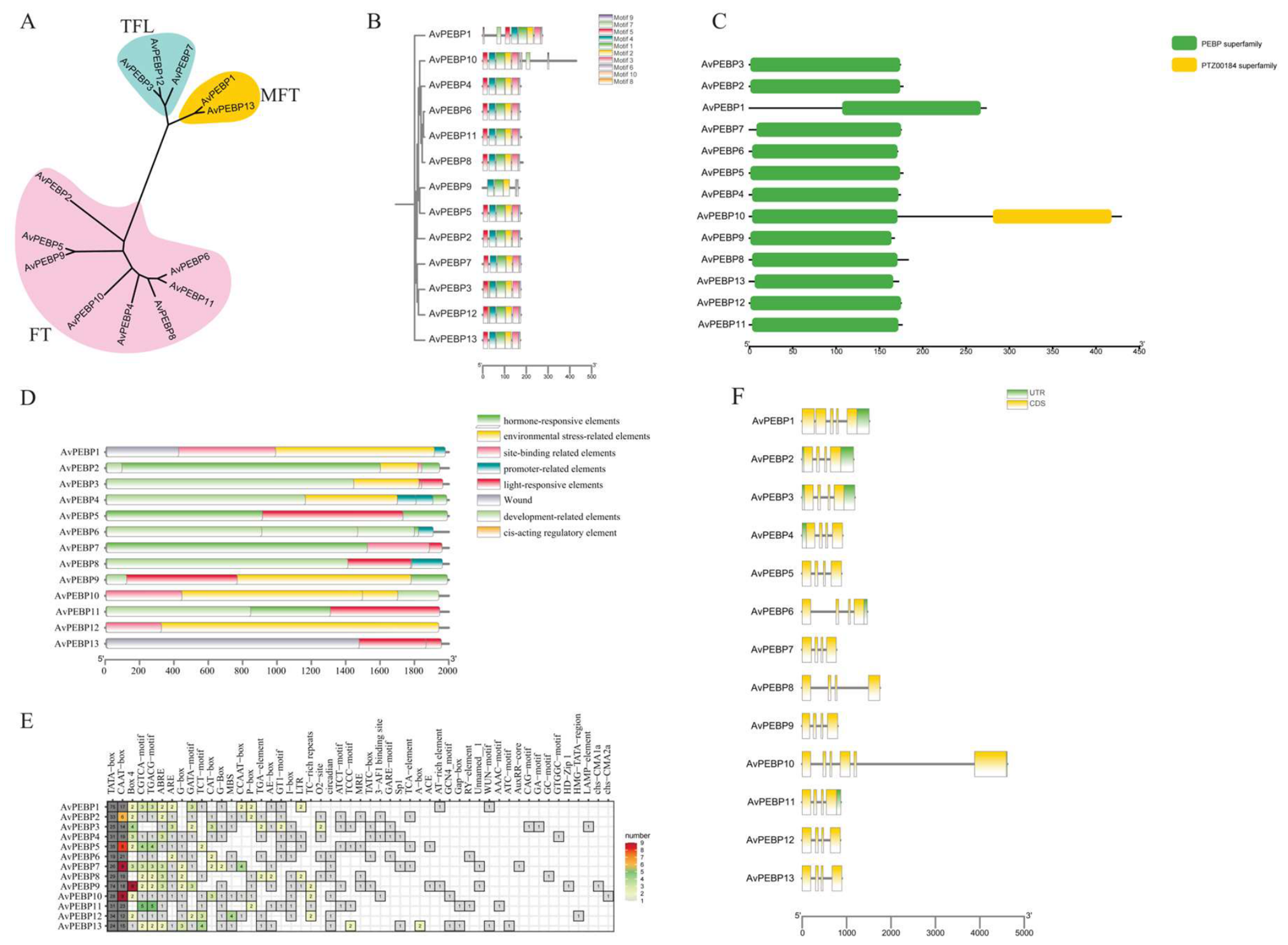 Preprints 220866 g004 Preprints 220866 g004