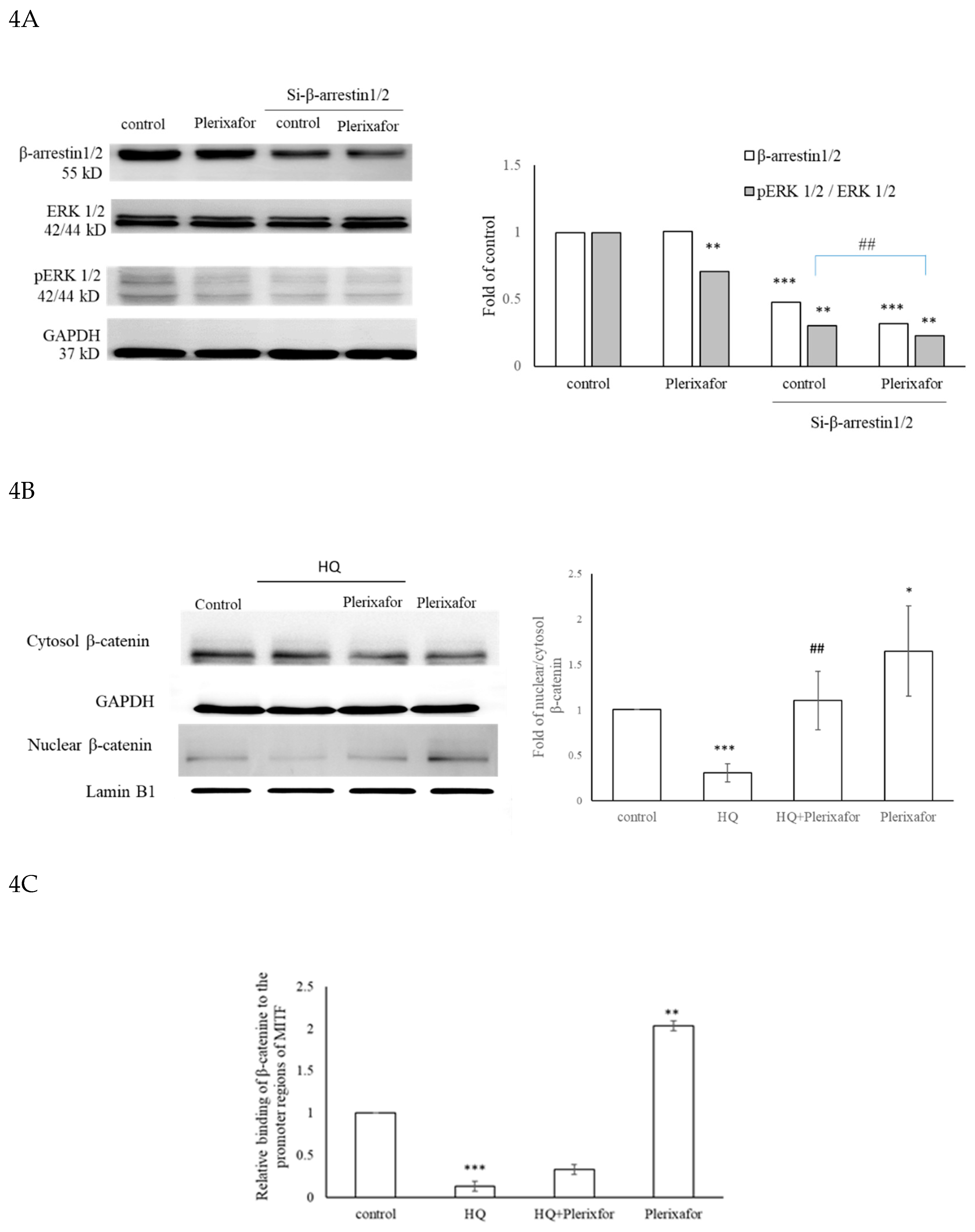 Preprints 216349 g004 Preprints 216349 g004