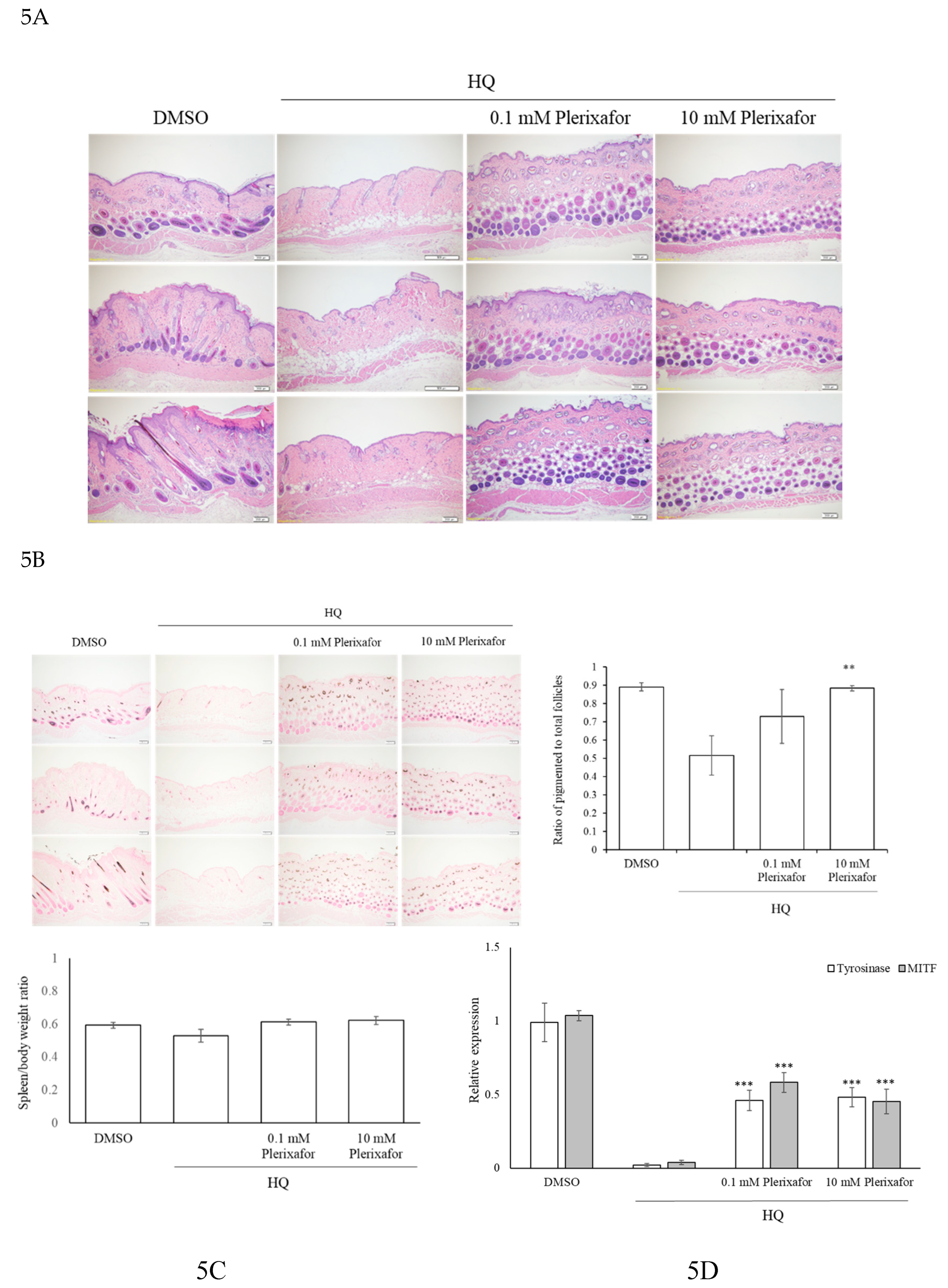 Preprints 216349 g005 Preprints 216349 g005