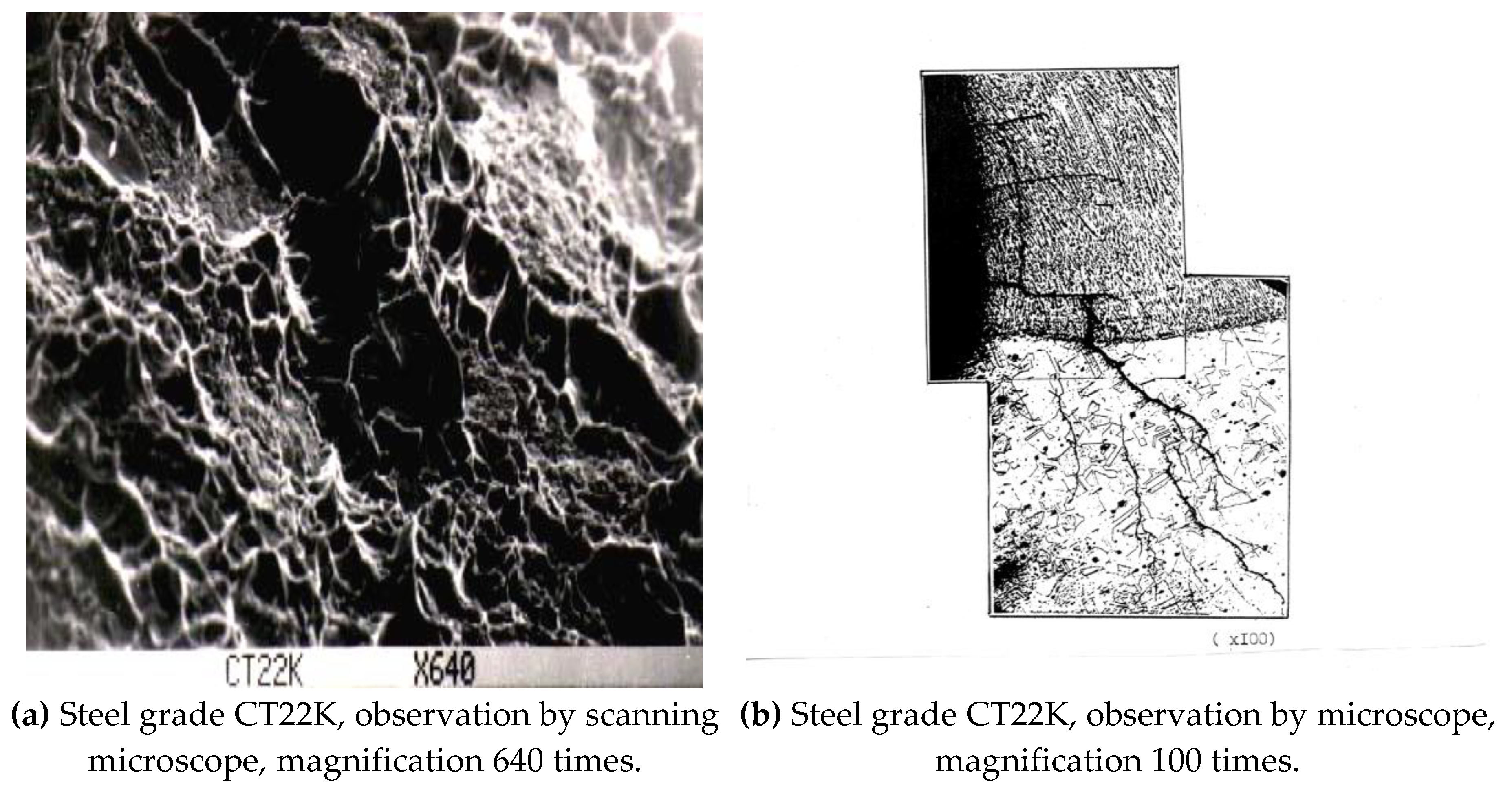 Preprints 166335 g0a6