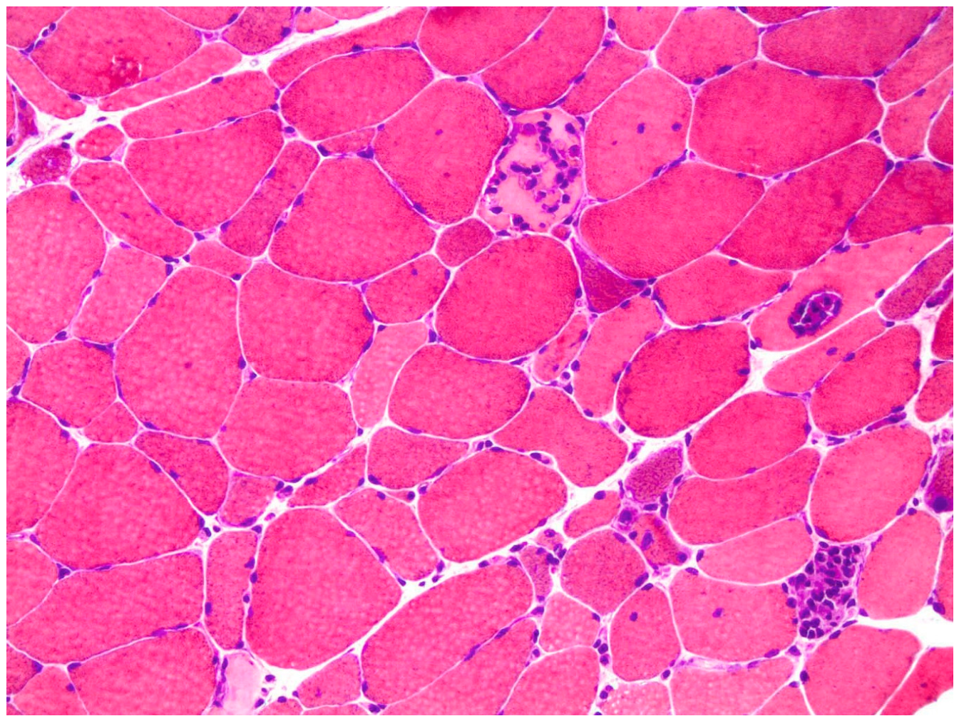 Preprints 221822 g002