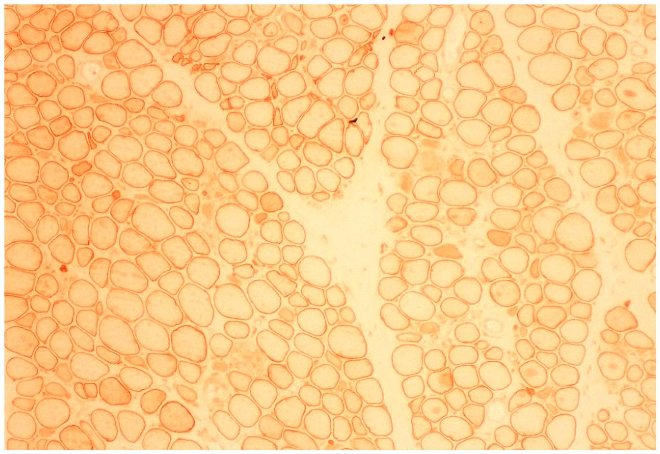 Preprints 221822 g003