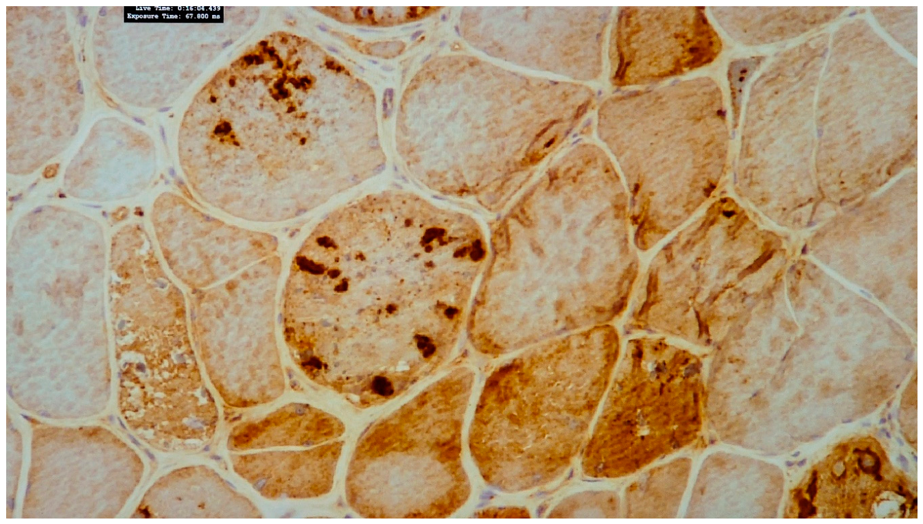 Preprints 221822 g004