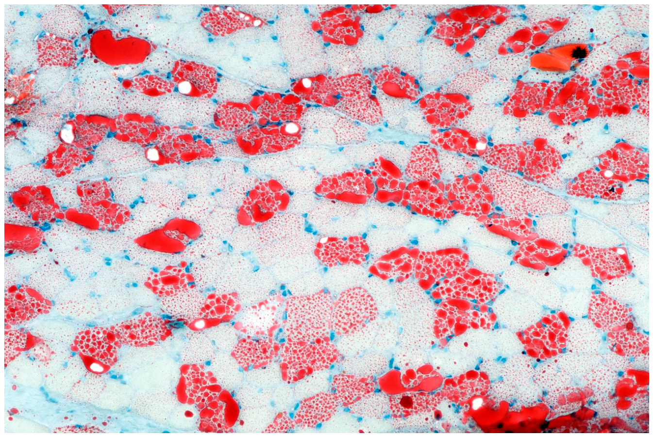 Preprints 221822 g006