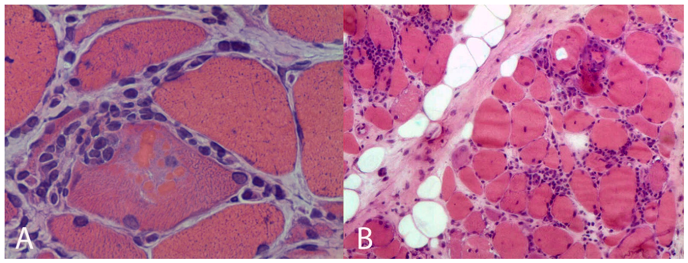 Preprints 221822 g007