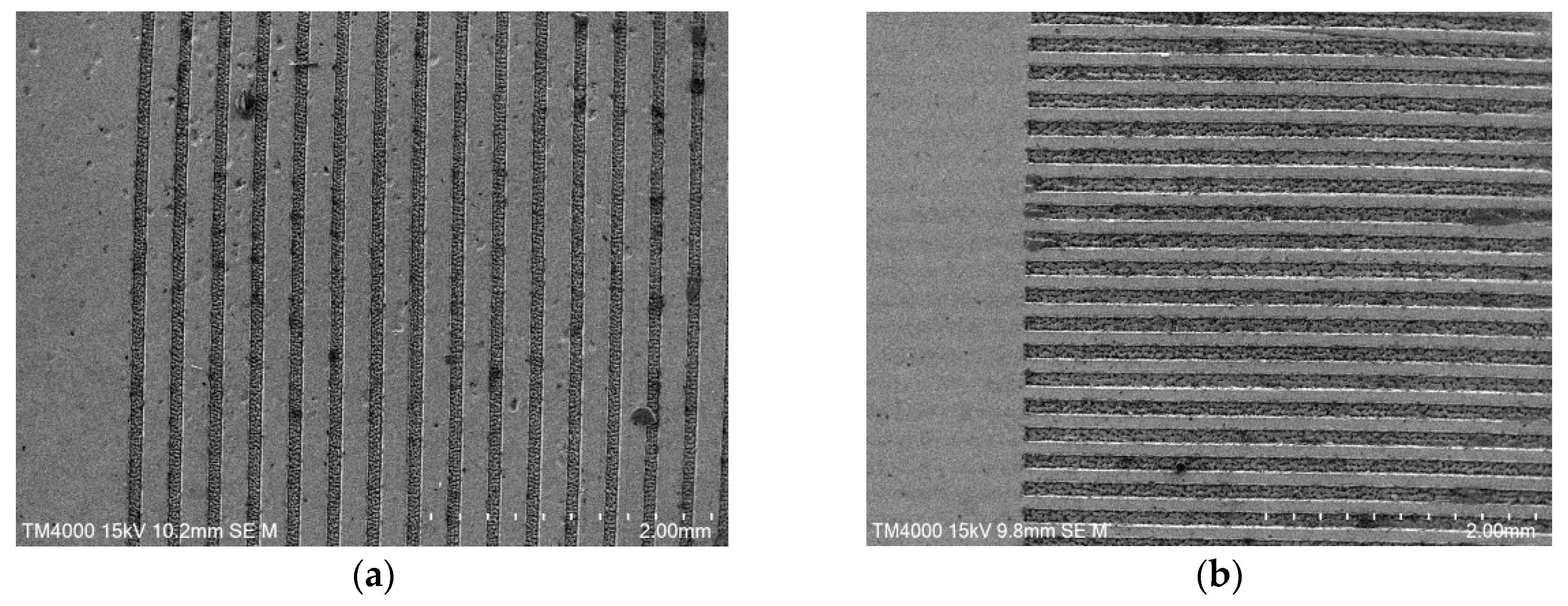 Preprints 182149 g002