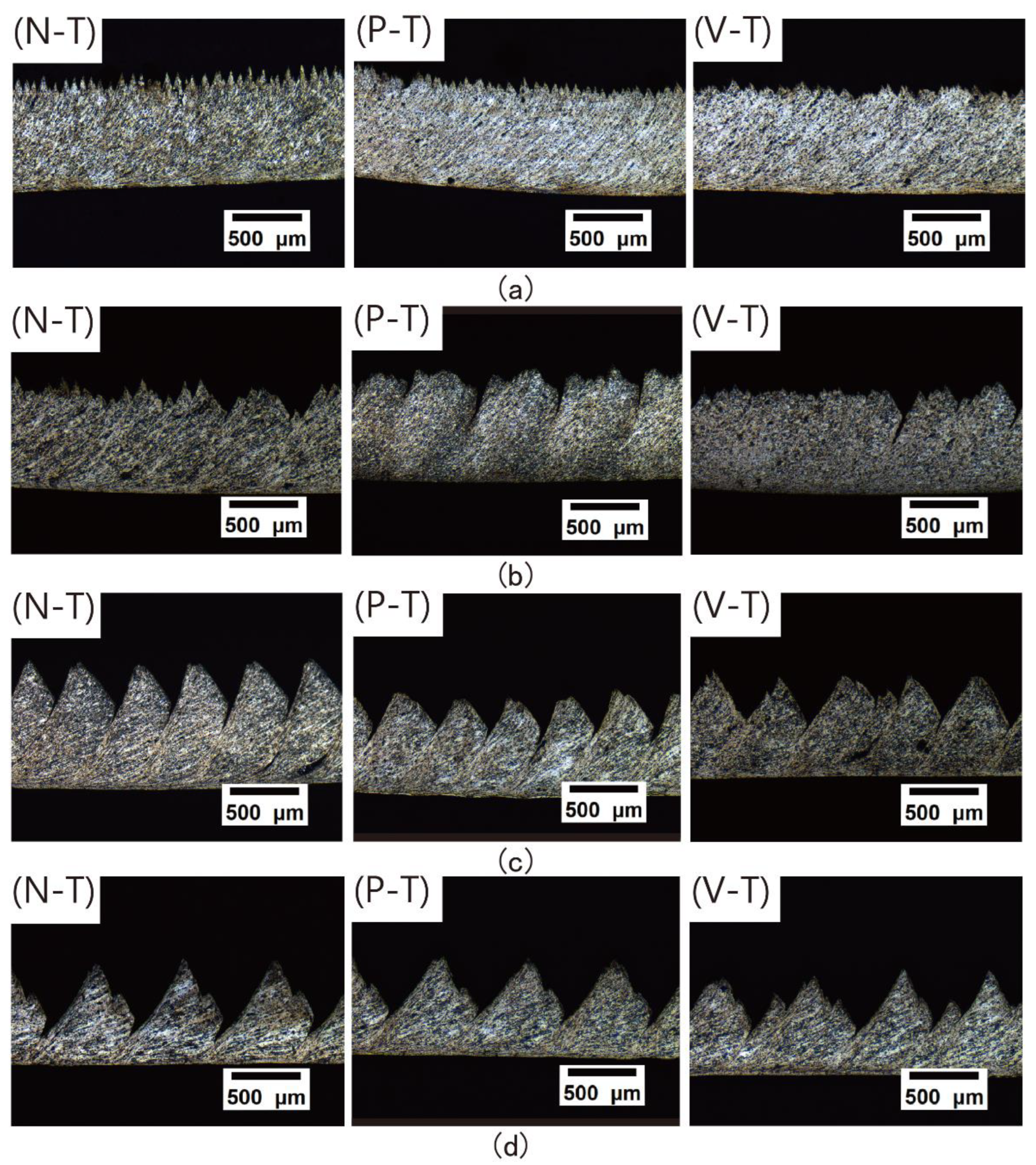 Preprints 182149 g005