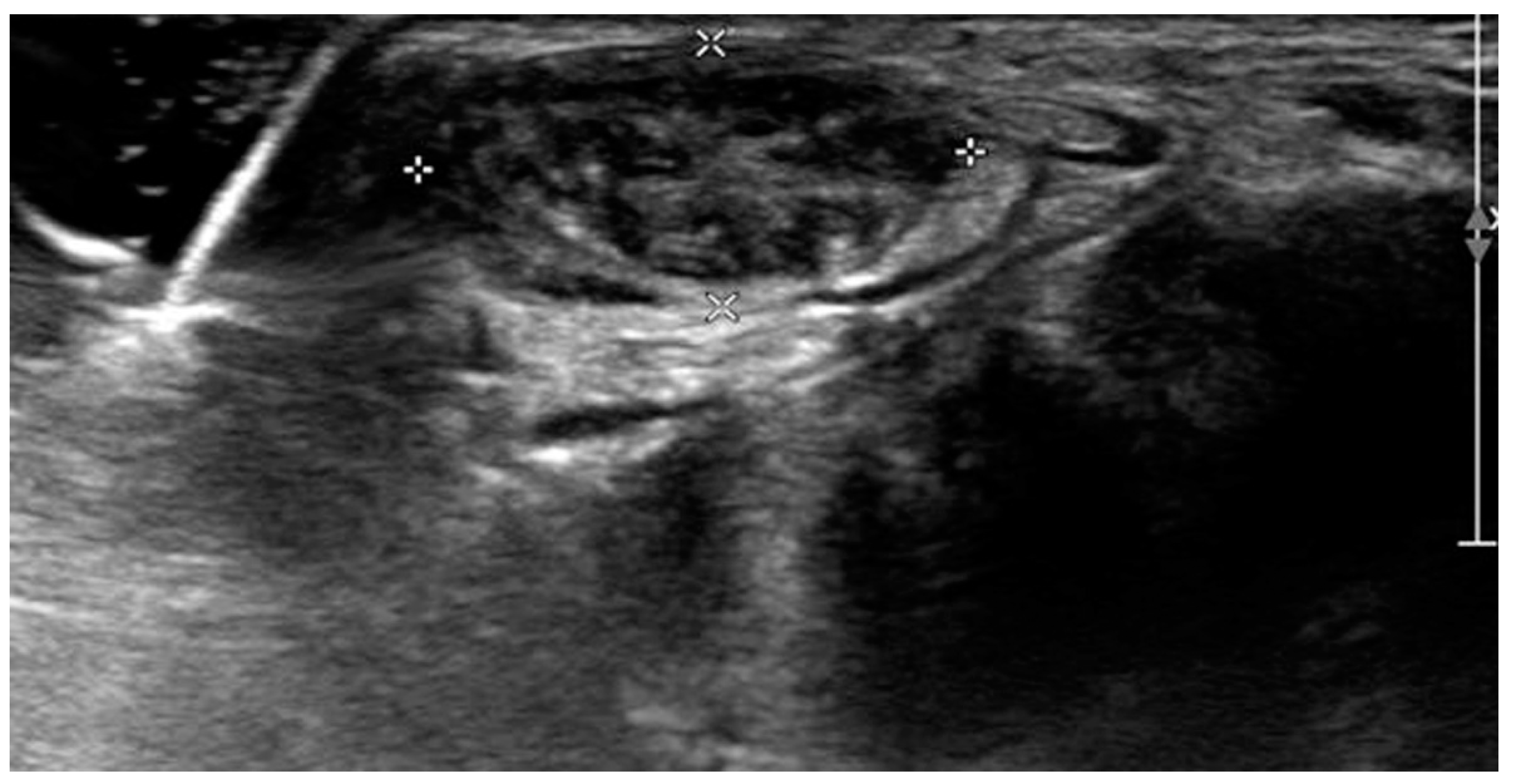 Preprints 83610 g002