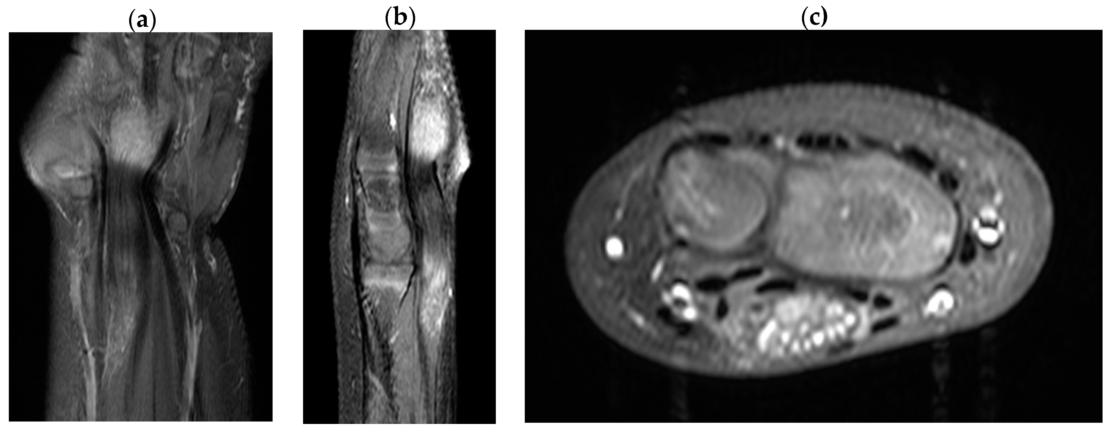Preprints 83610 g003