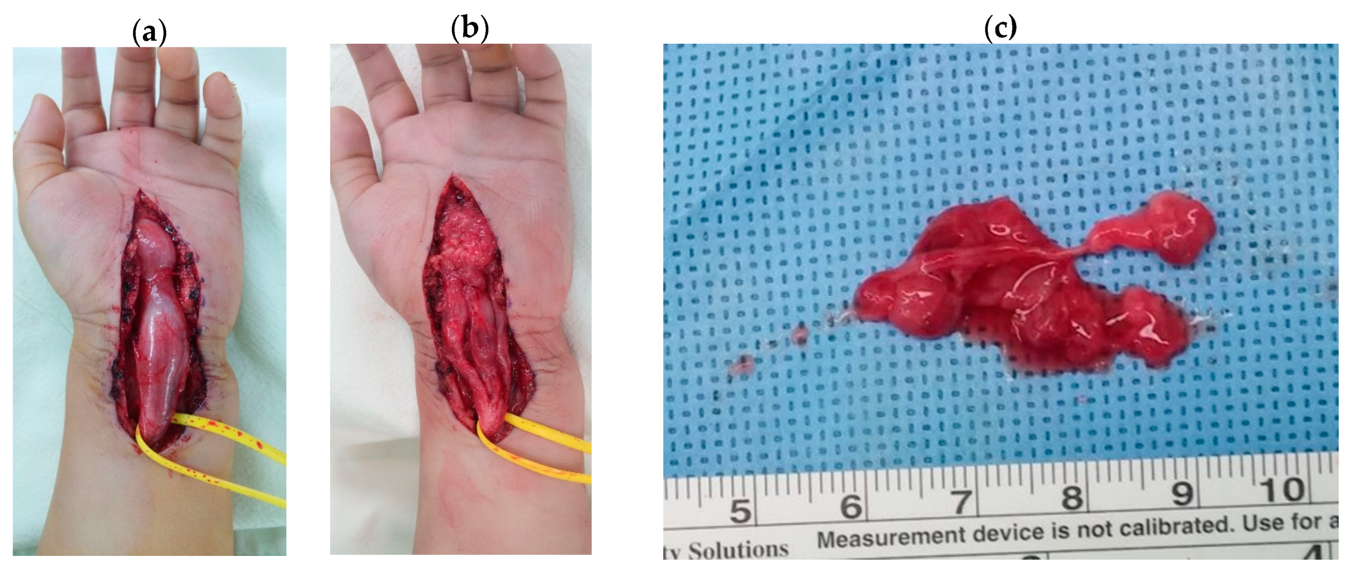 Preprints 83610 g004