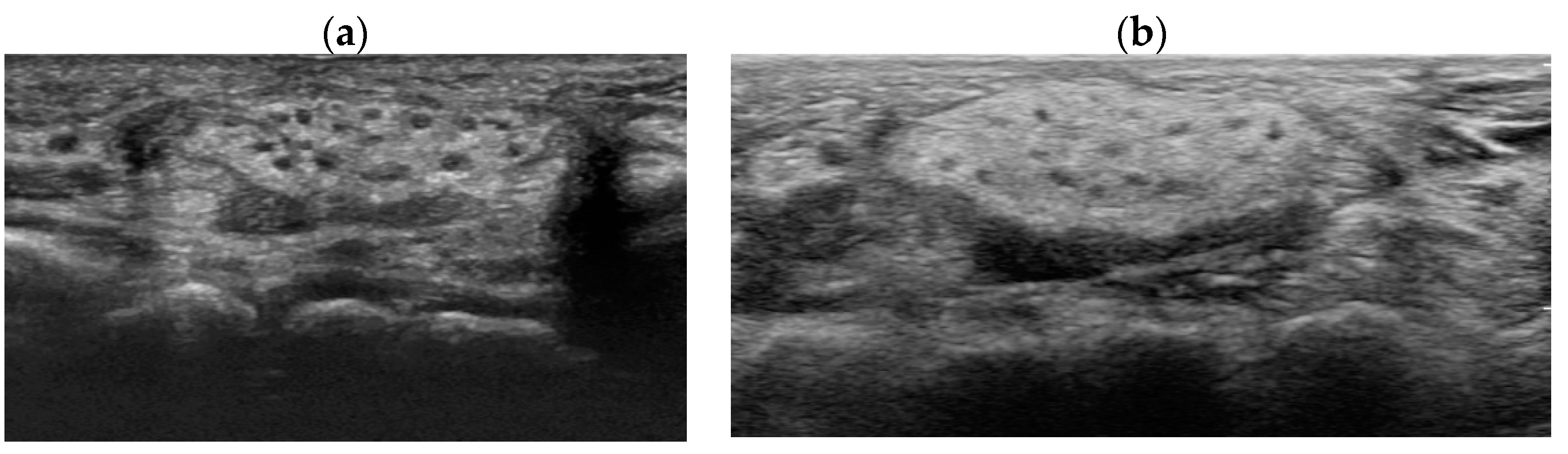 Preprints 83610 g006