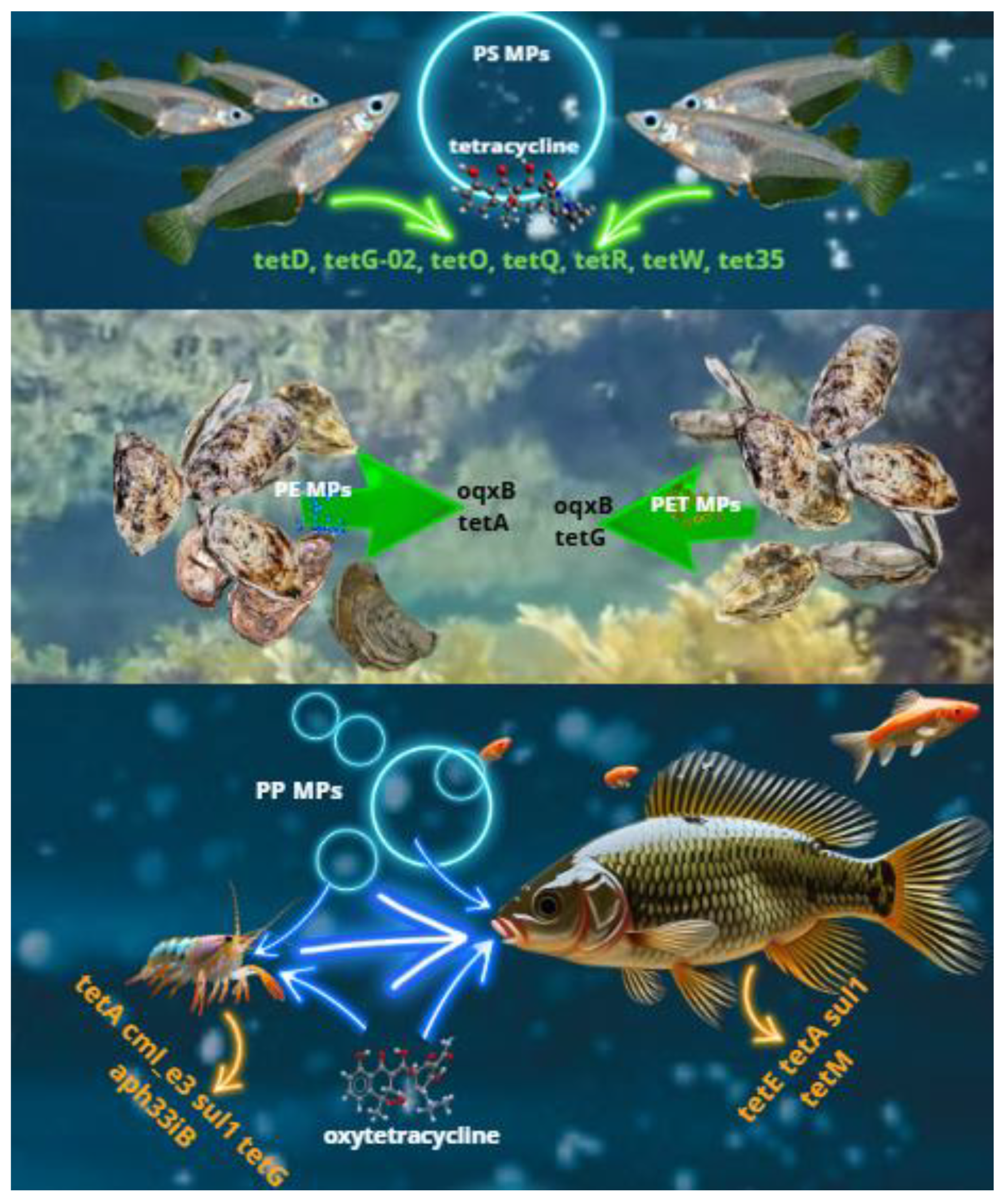 Preprints 179931 g001