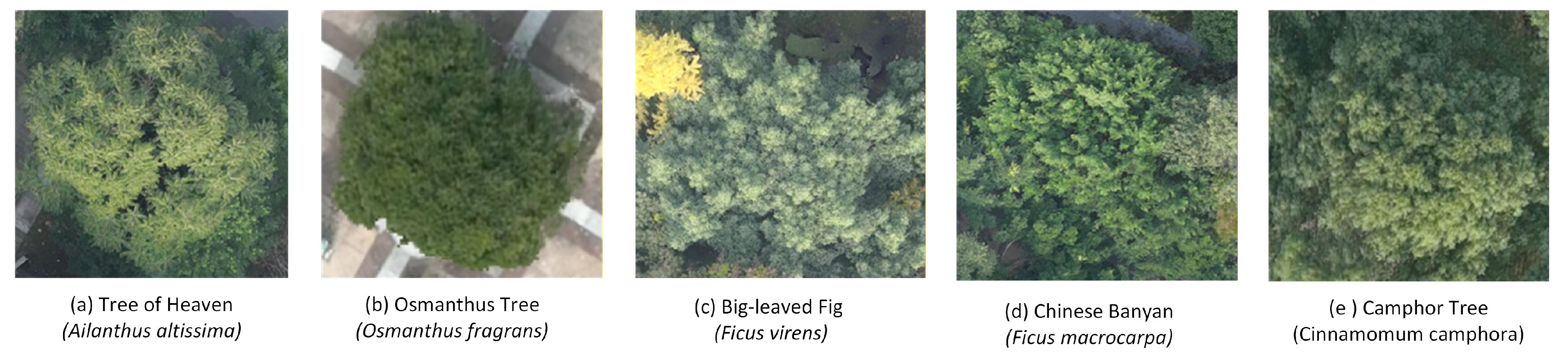 Preprints 209940 g002