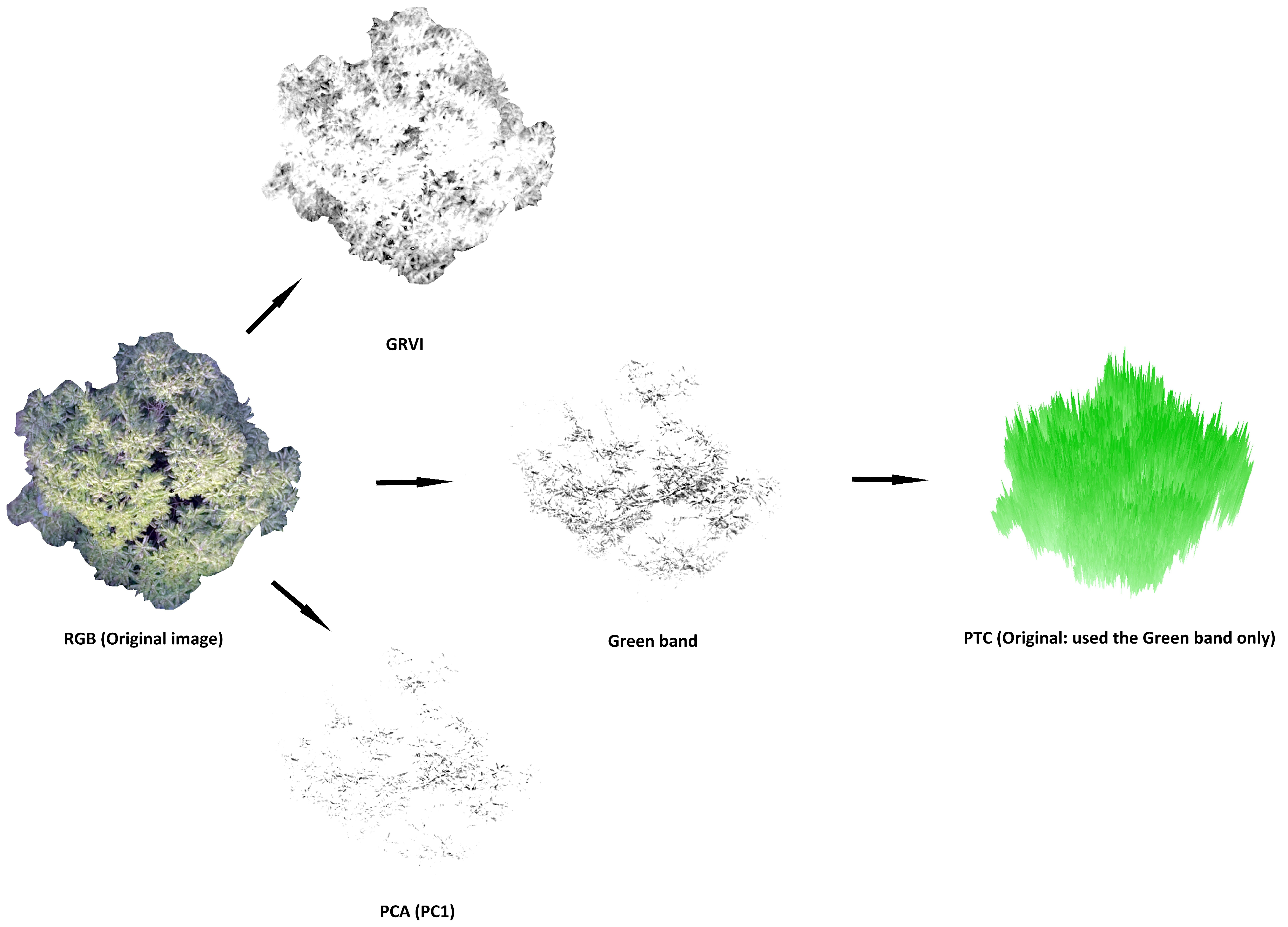 Preprints 209940 g003