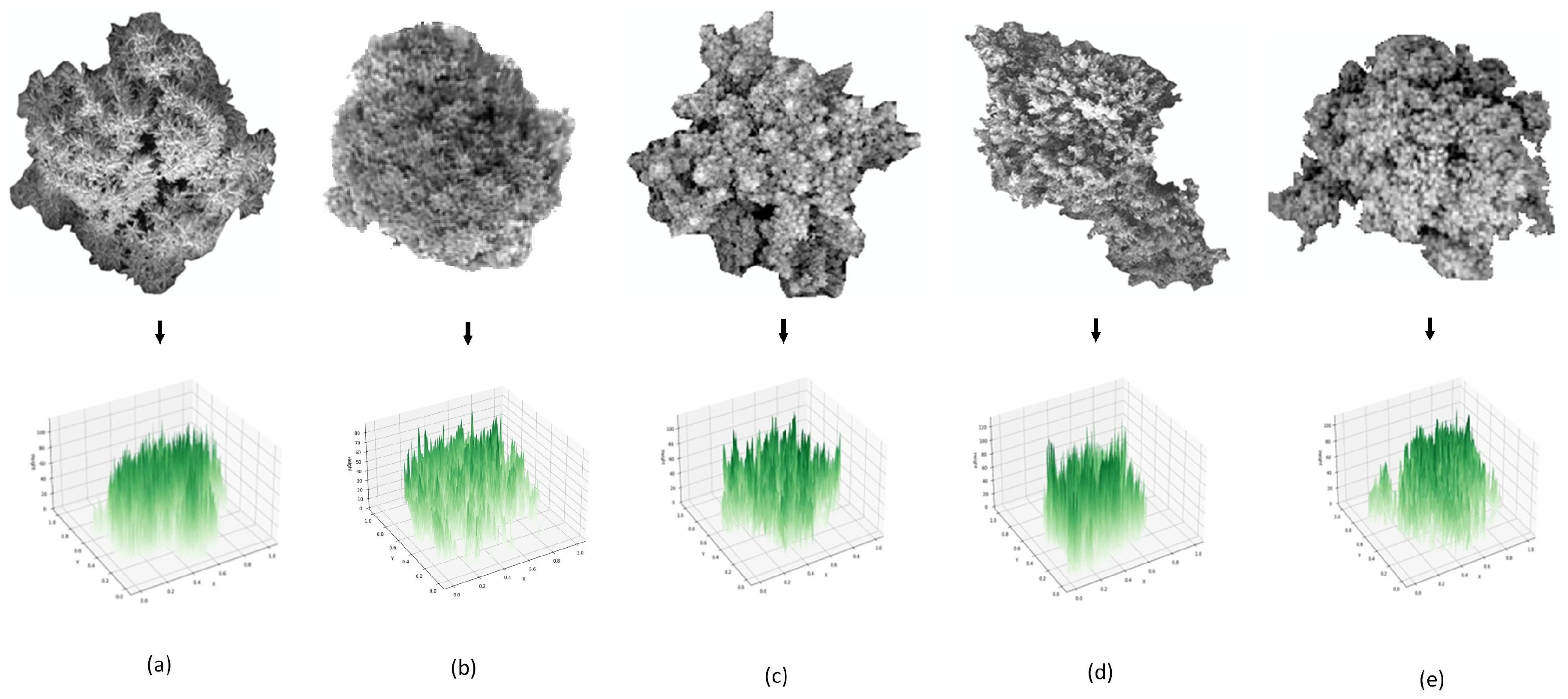 Preprints 209940 g004