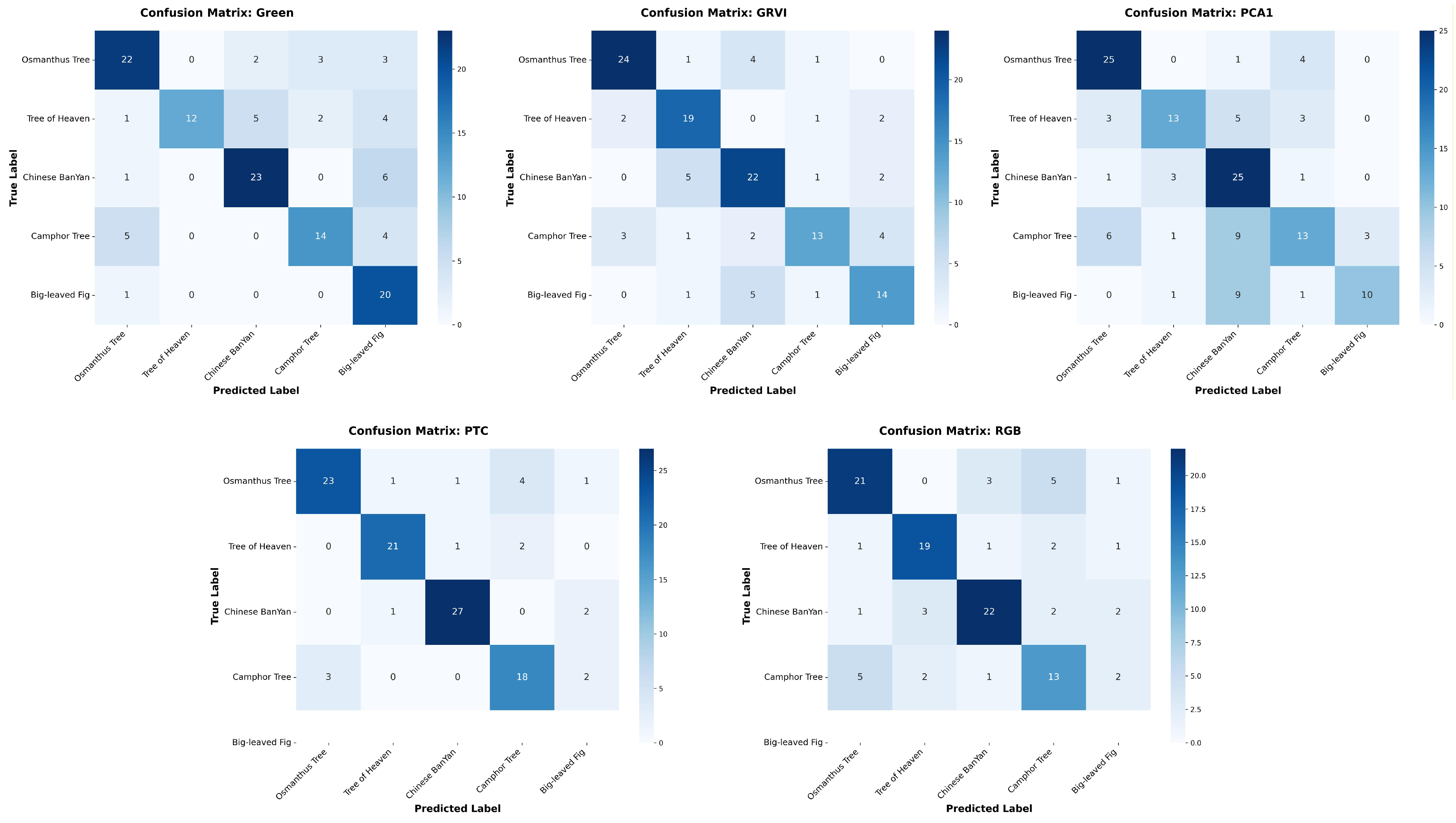 Preprints 209940 g006