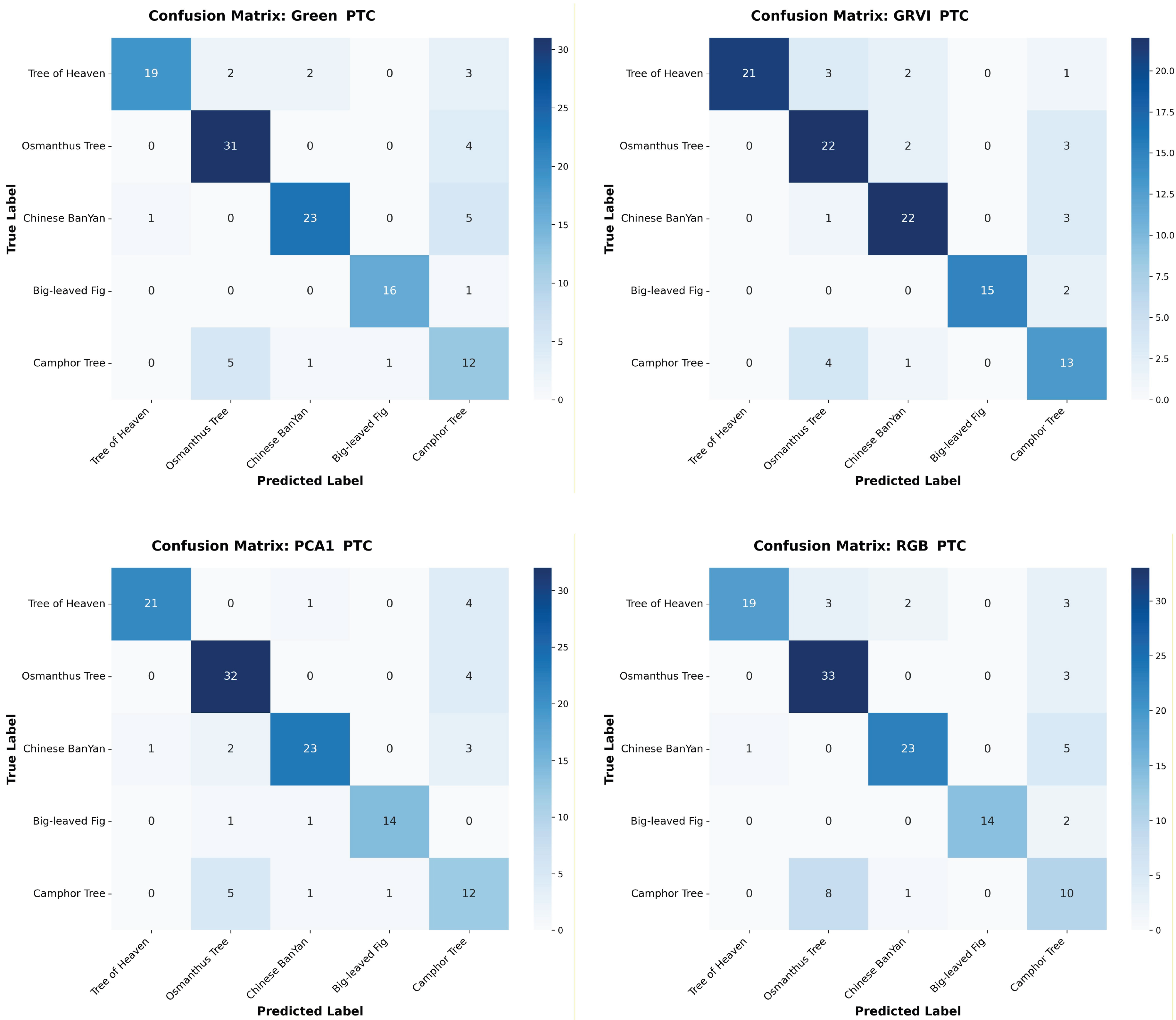 Preprints 209940 g0a6