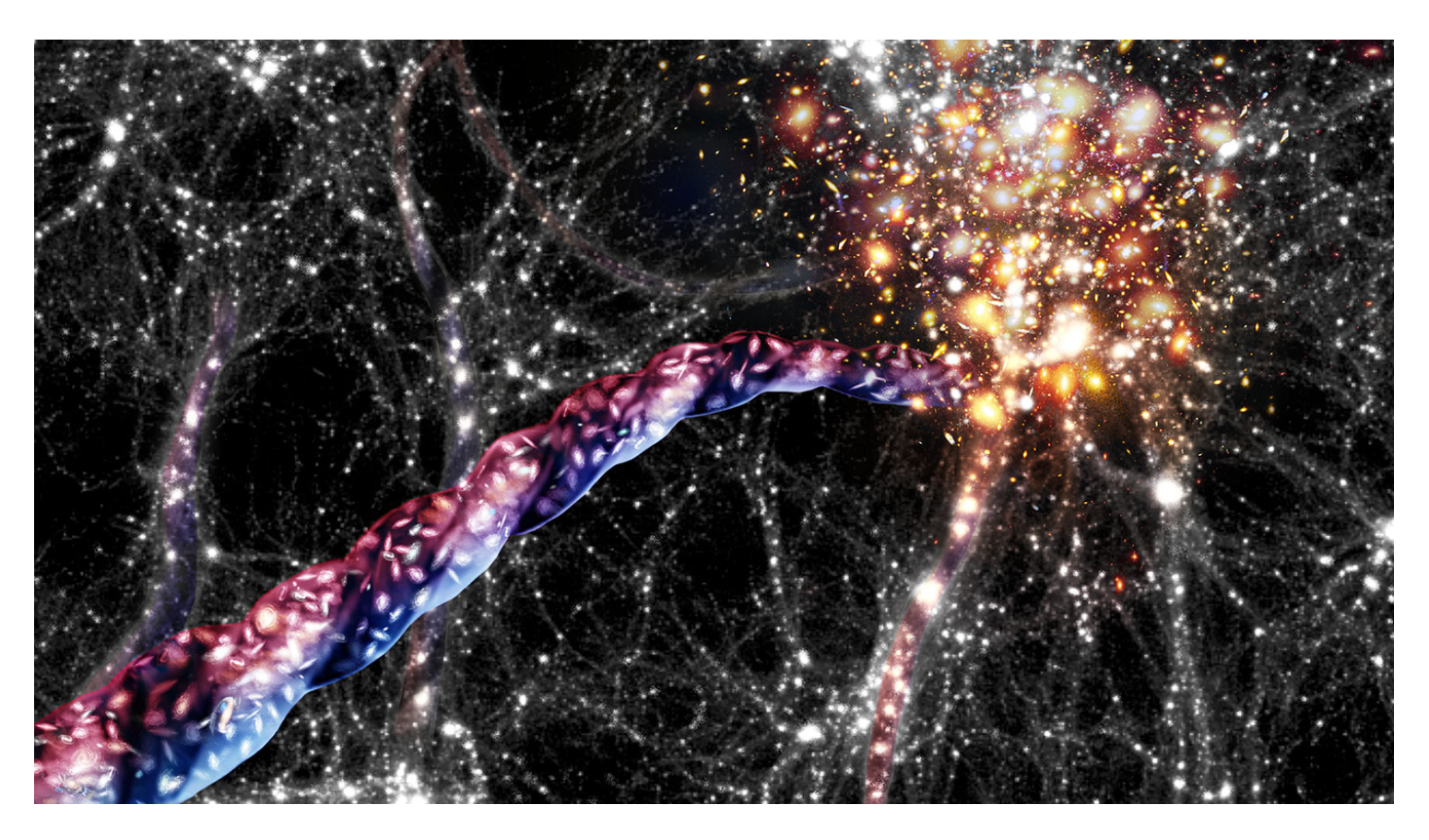 Preprints 147520 g001