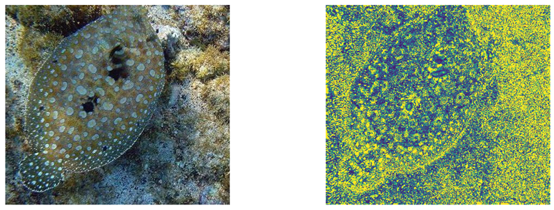 Preprints 147520 i001