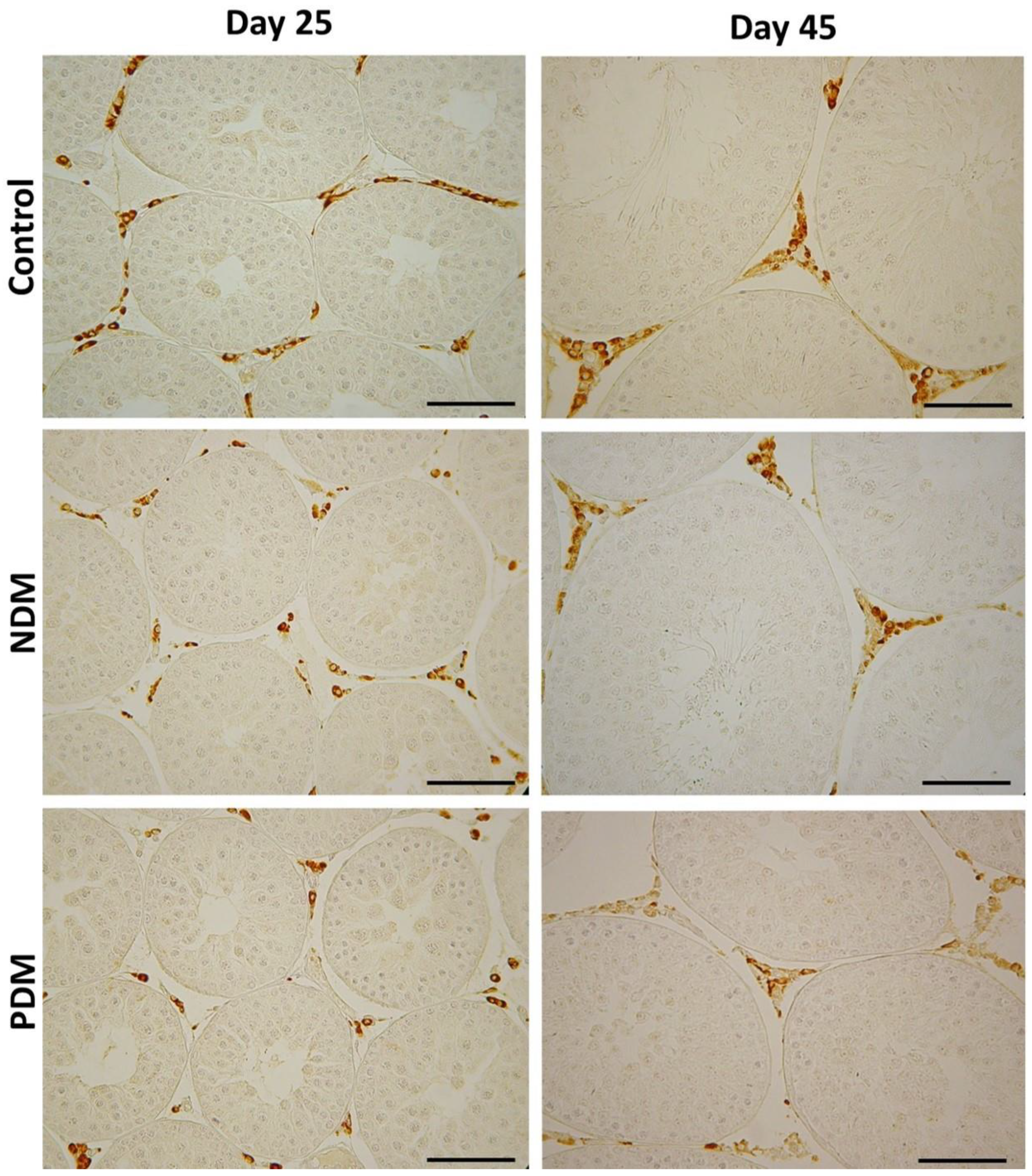 Preprints 170607 g005