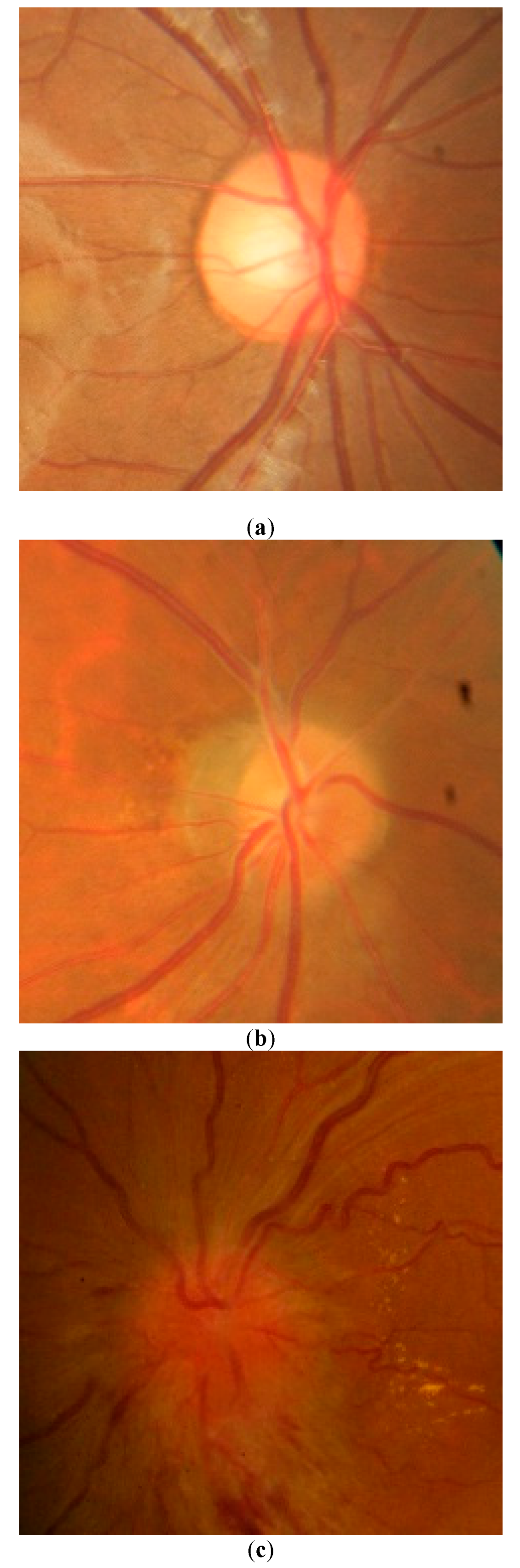 Preprints 165841 g001