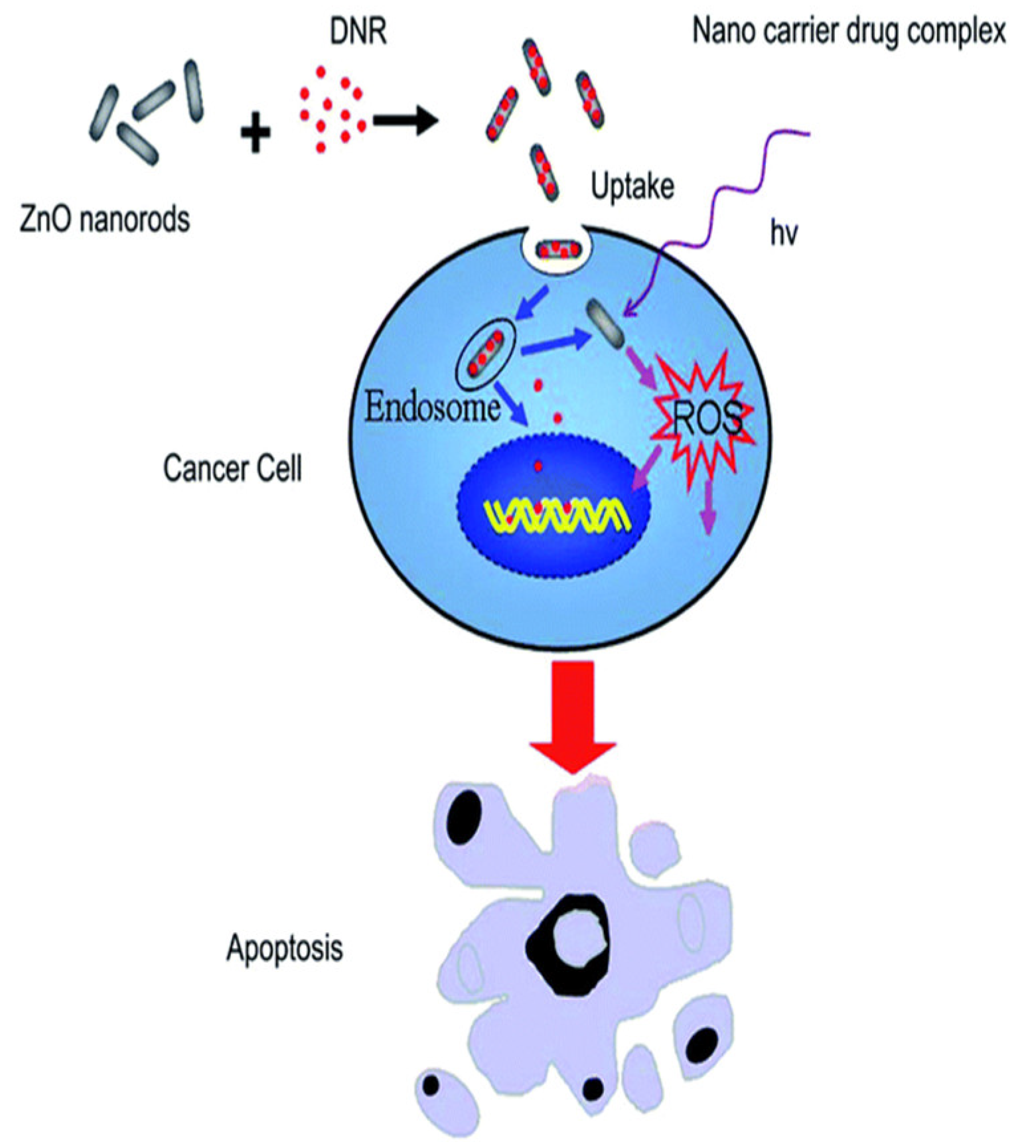 Preprints 197700 g002