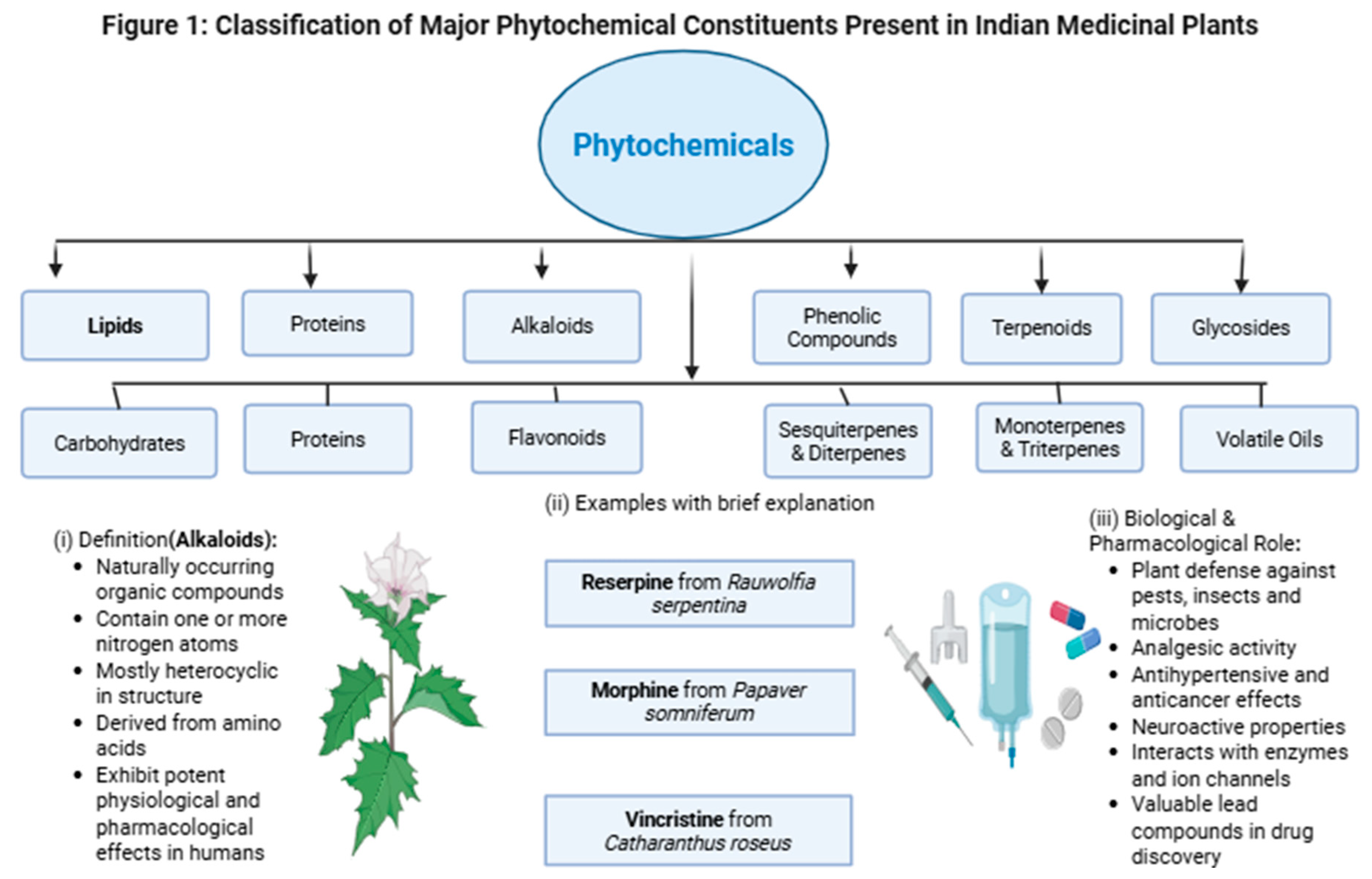 Preprints 193455 g001