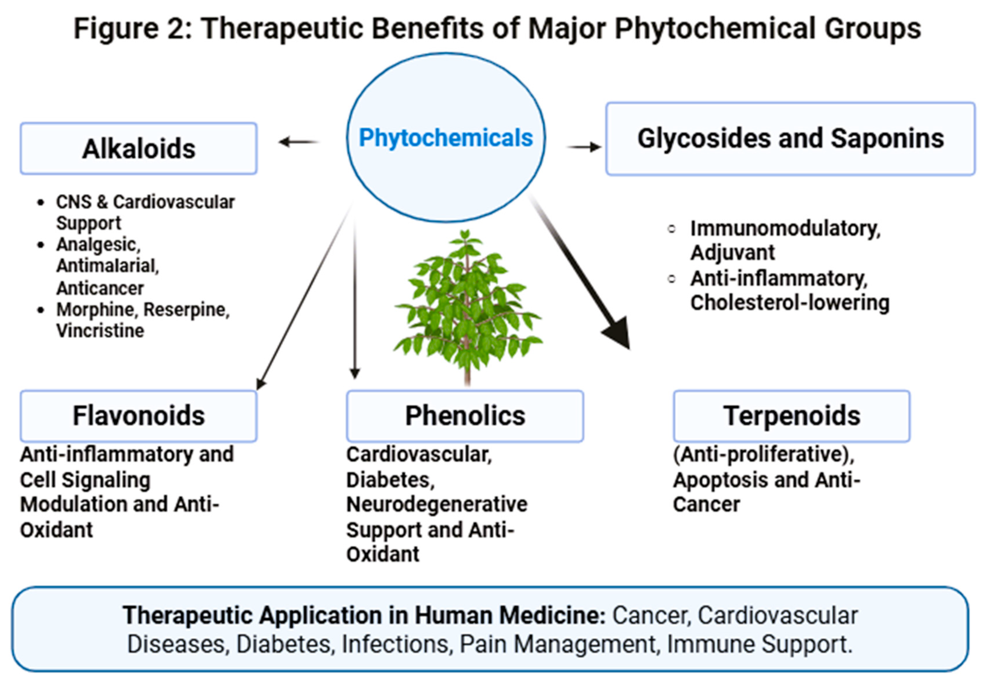 Preprints 193455 g002