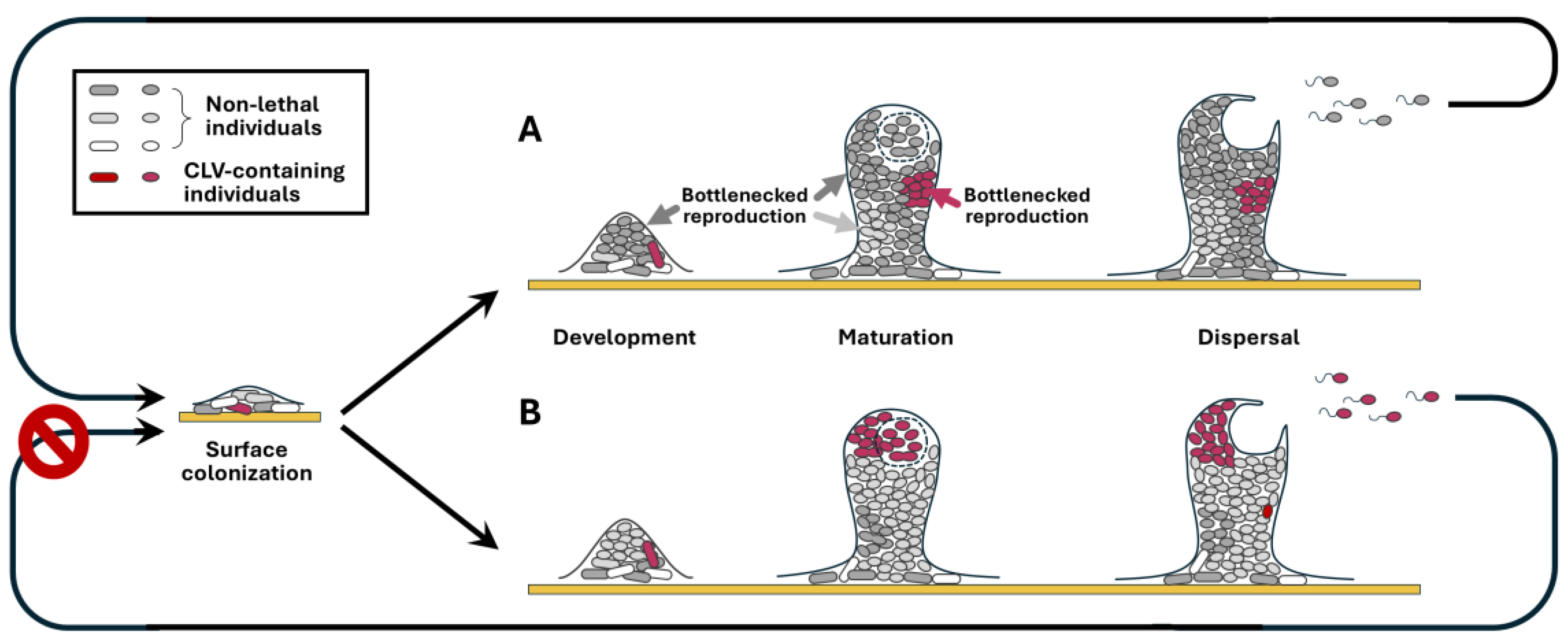 Preprints 160321 g001