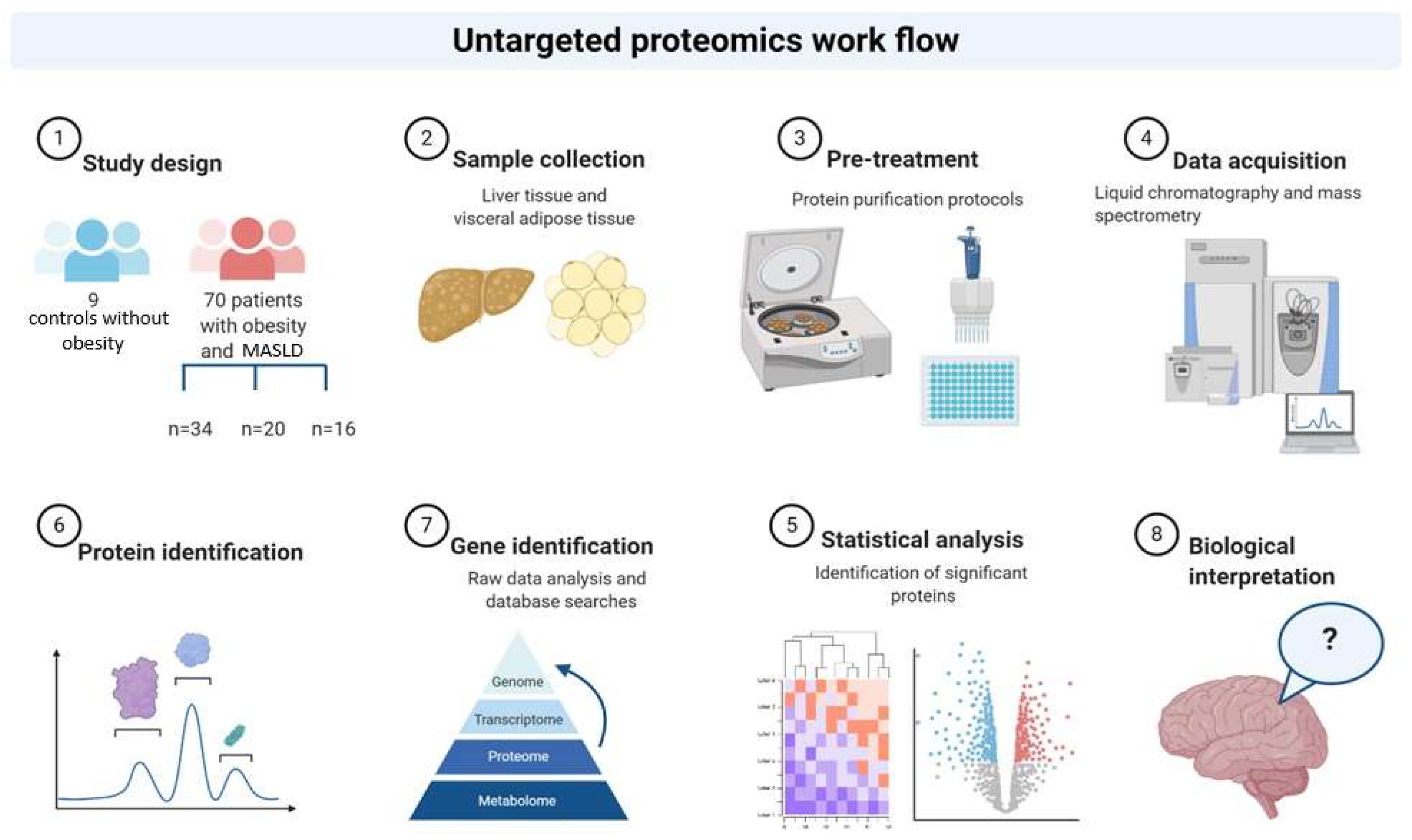 Preprints 144281 g001