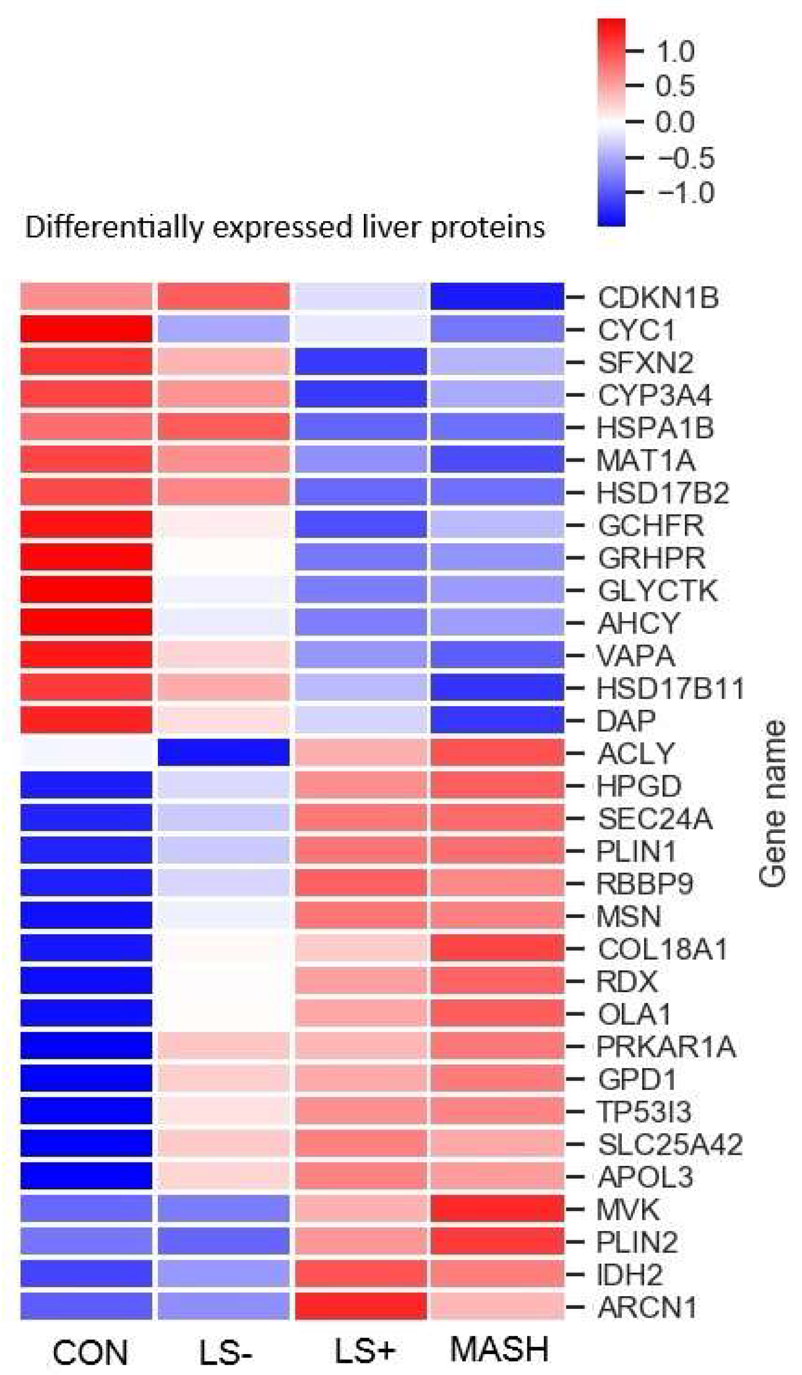 Preprints 144281 g002