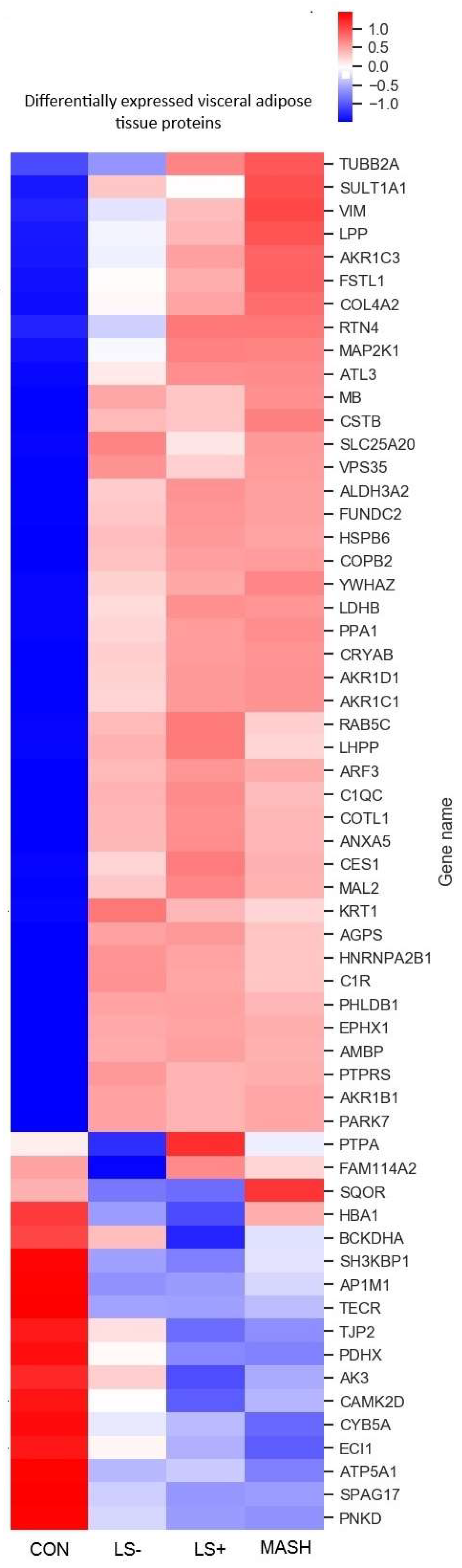 Preprints 144281 g003