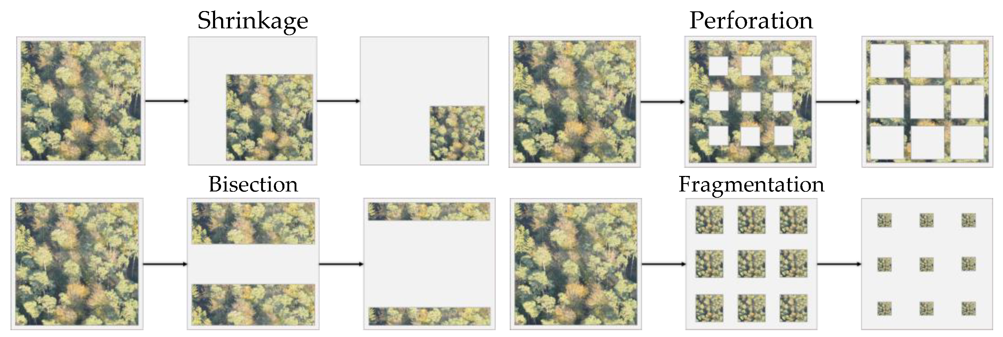 Preprints 163340 g001