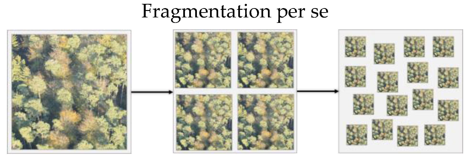 Preprints 163340 g002