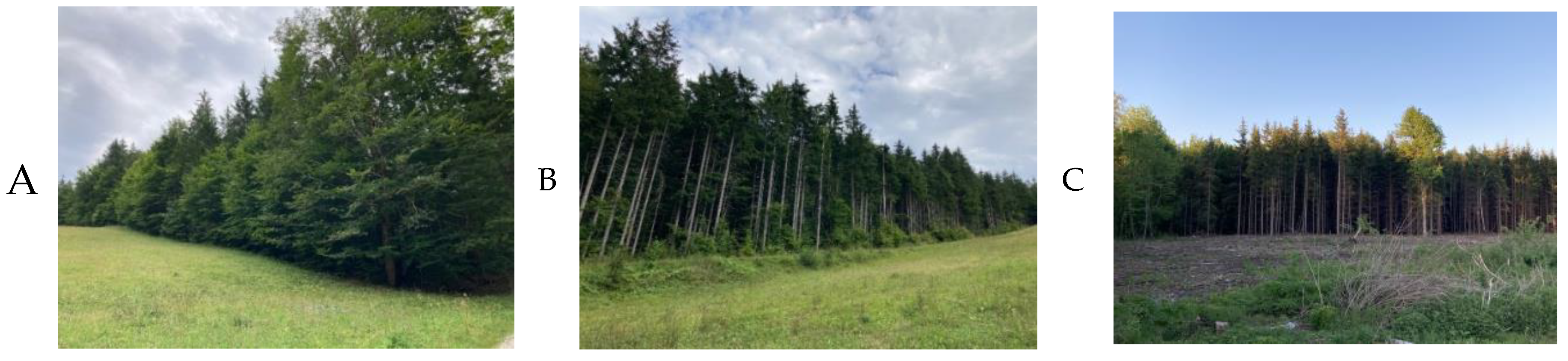 Preprints 163340 g003