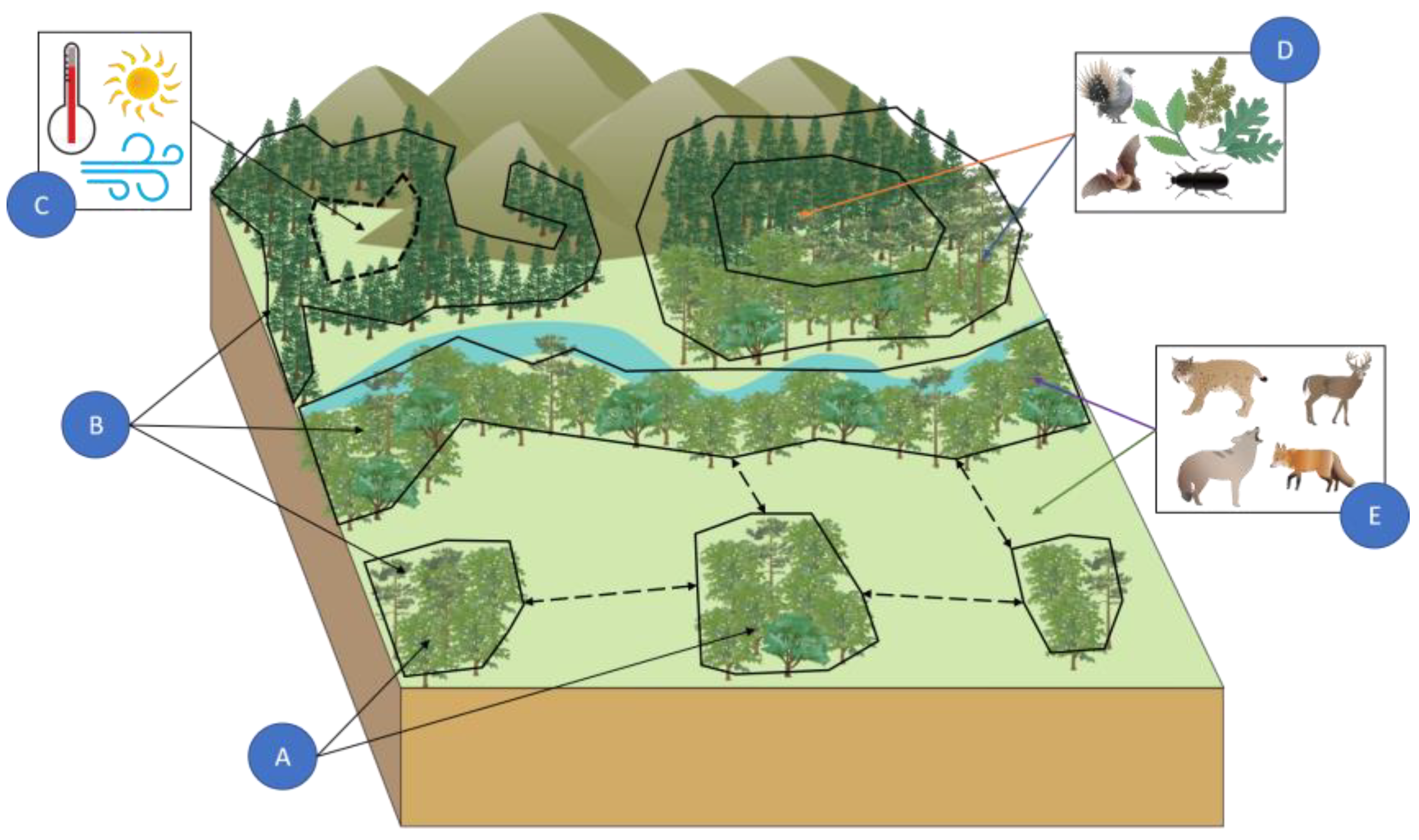 Preprints 163340 g004