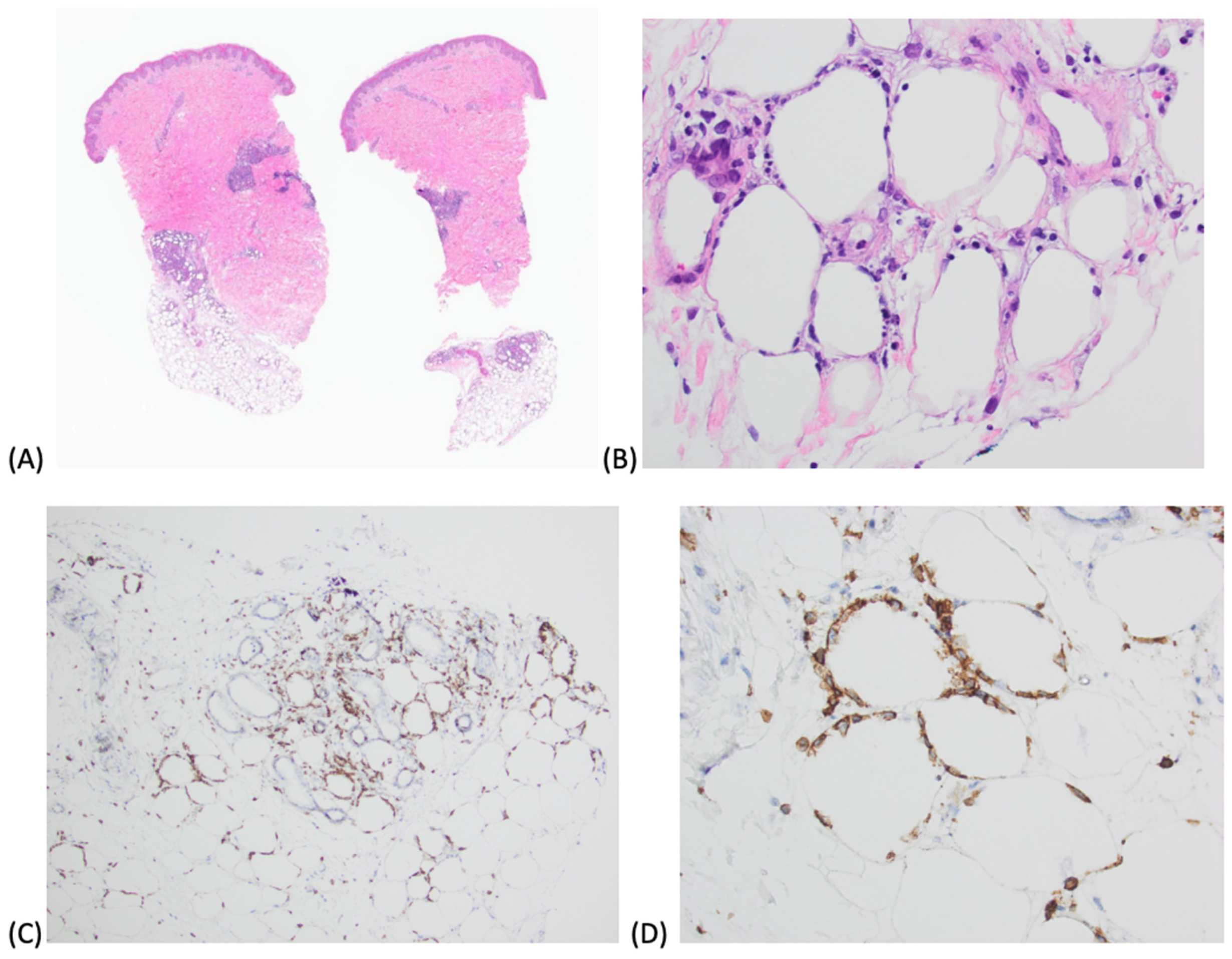 Preprints 167784 g002