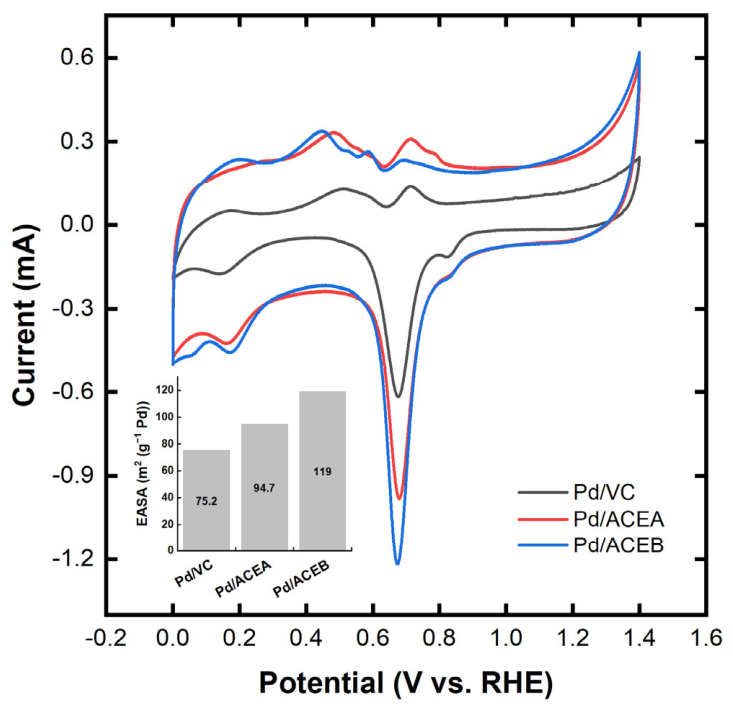 Preprints 215004 g005
